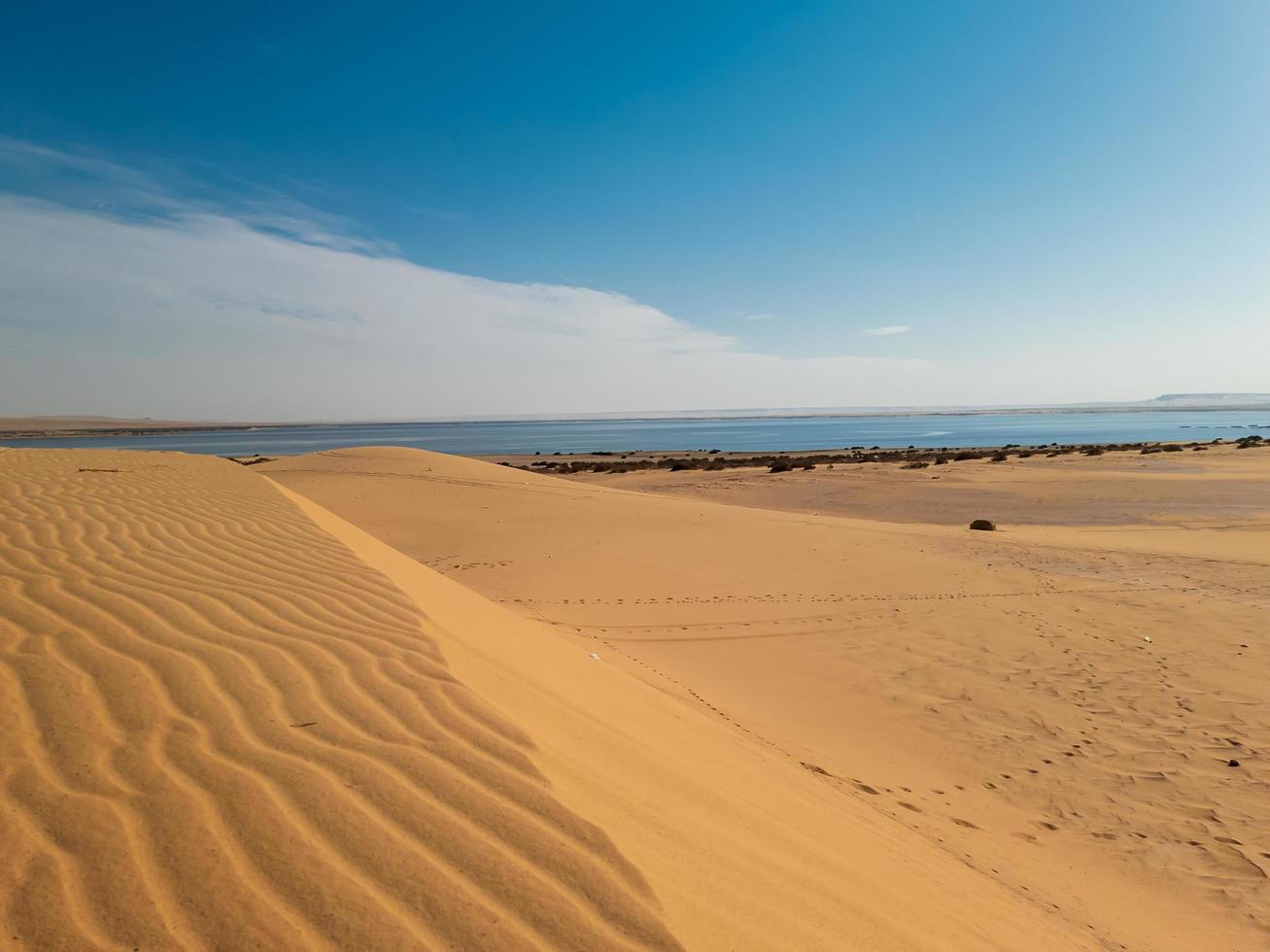 dunes de sable sur la plage photo