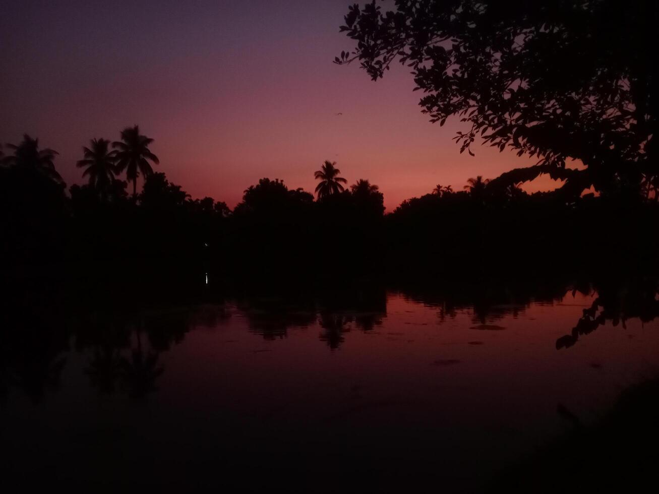 meilleur la nature fond d'écran photo