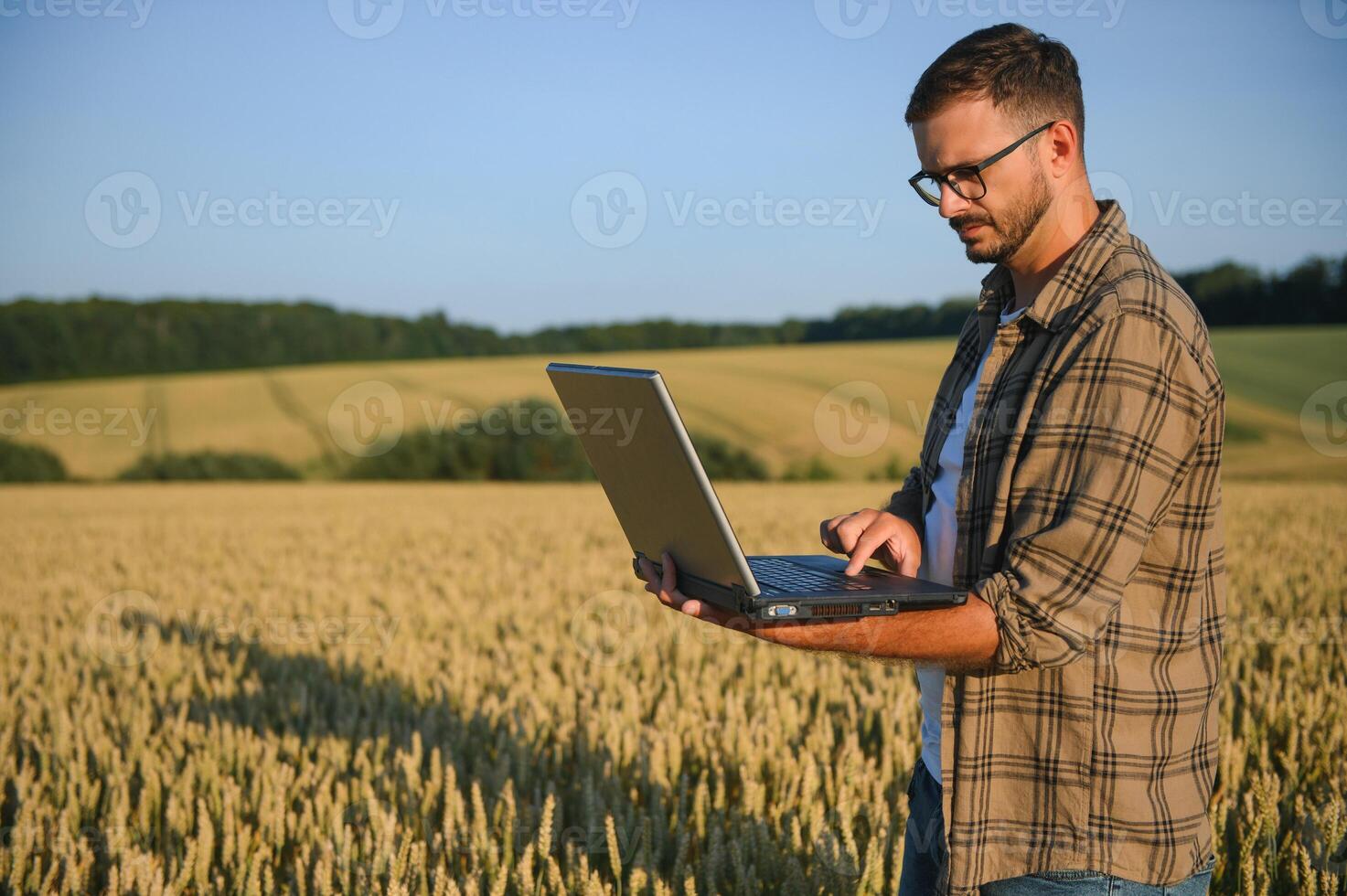 agriculteur examiner cultures accroupi dans blé ferme photo