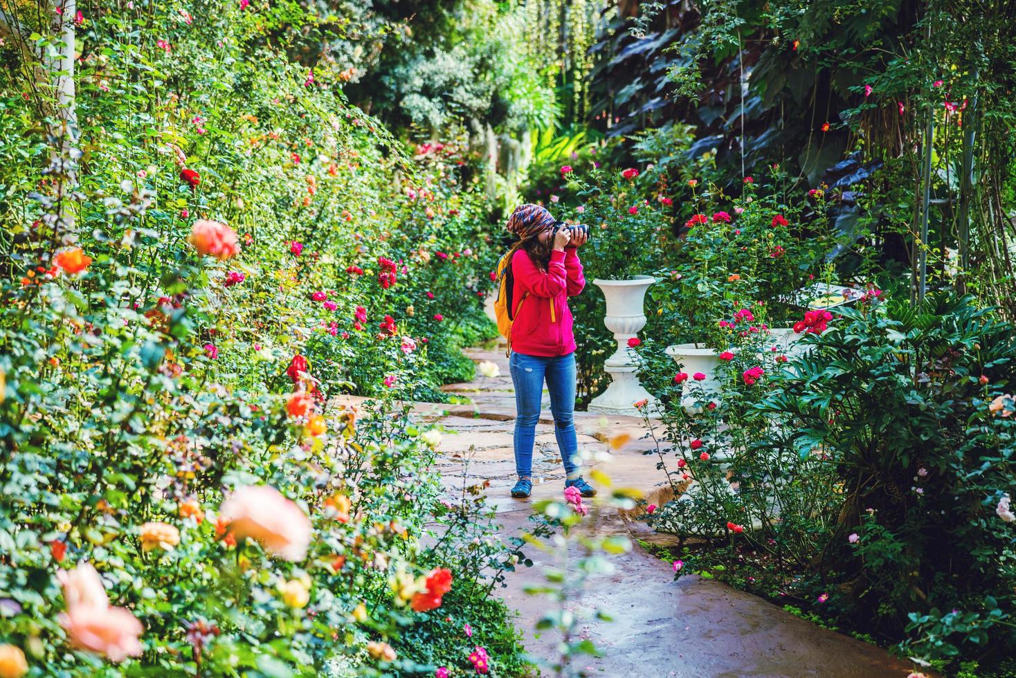 femme voyage nature dans la roseraie. prendre des photos dans la roseraie de doi inthanon chiangmai.