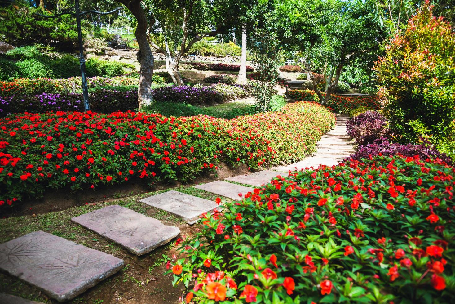 la belle nature du parc fleuri, parc public approprié comme arrière-plan. photo