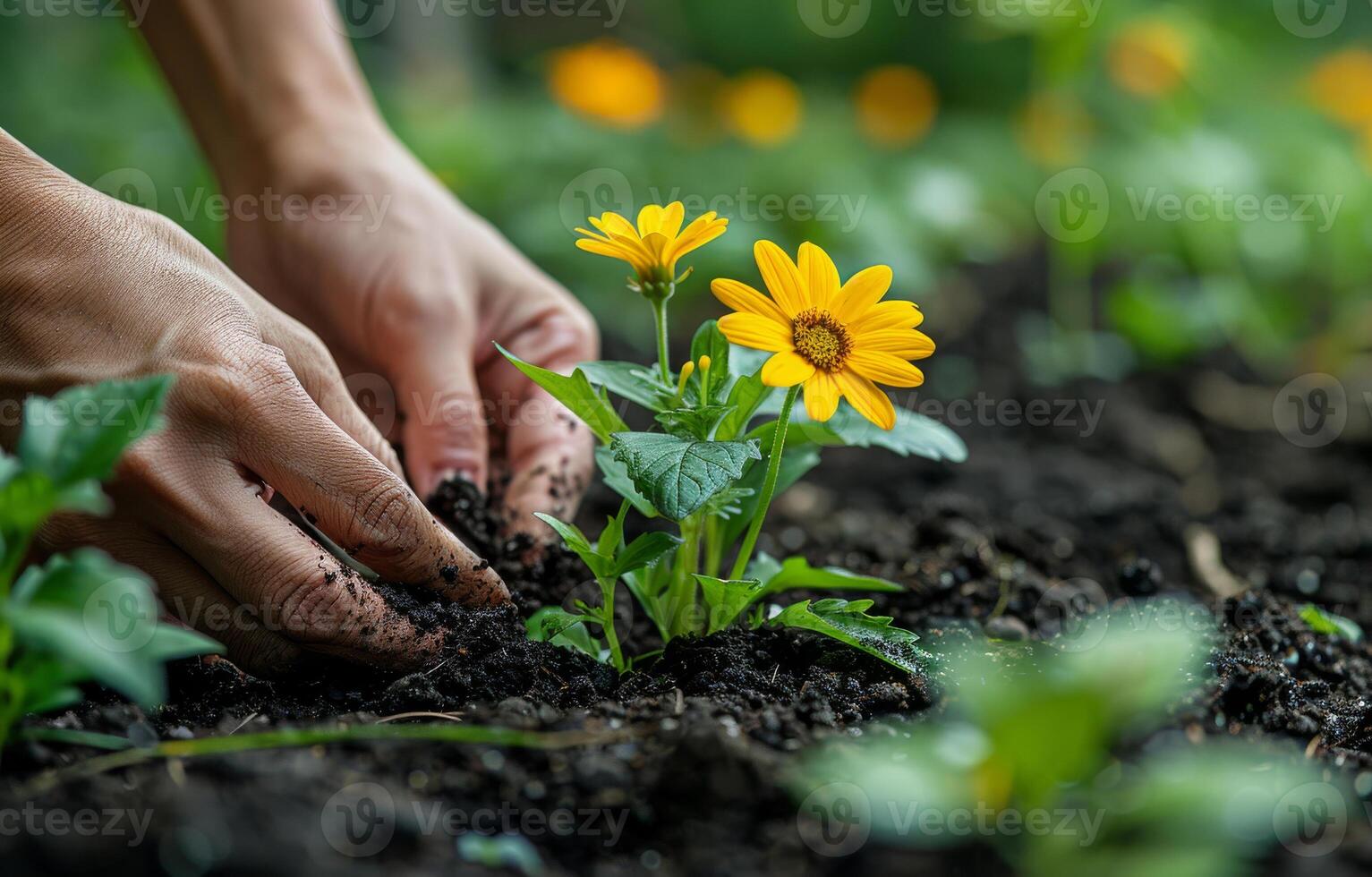 ai généré femme plantation Jaune fleur dans le jardin proche en haut photo