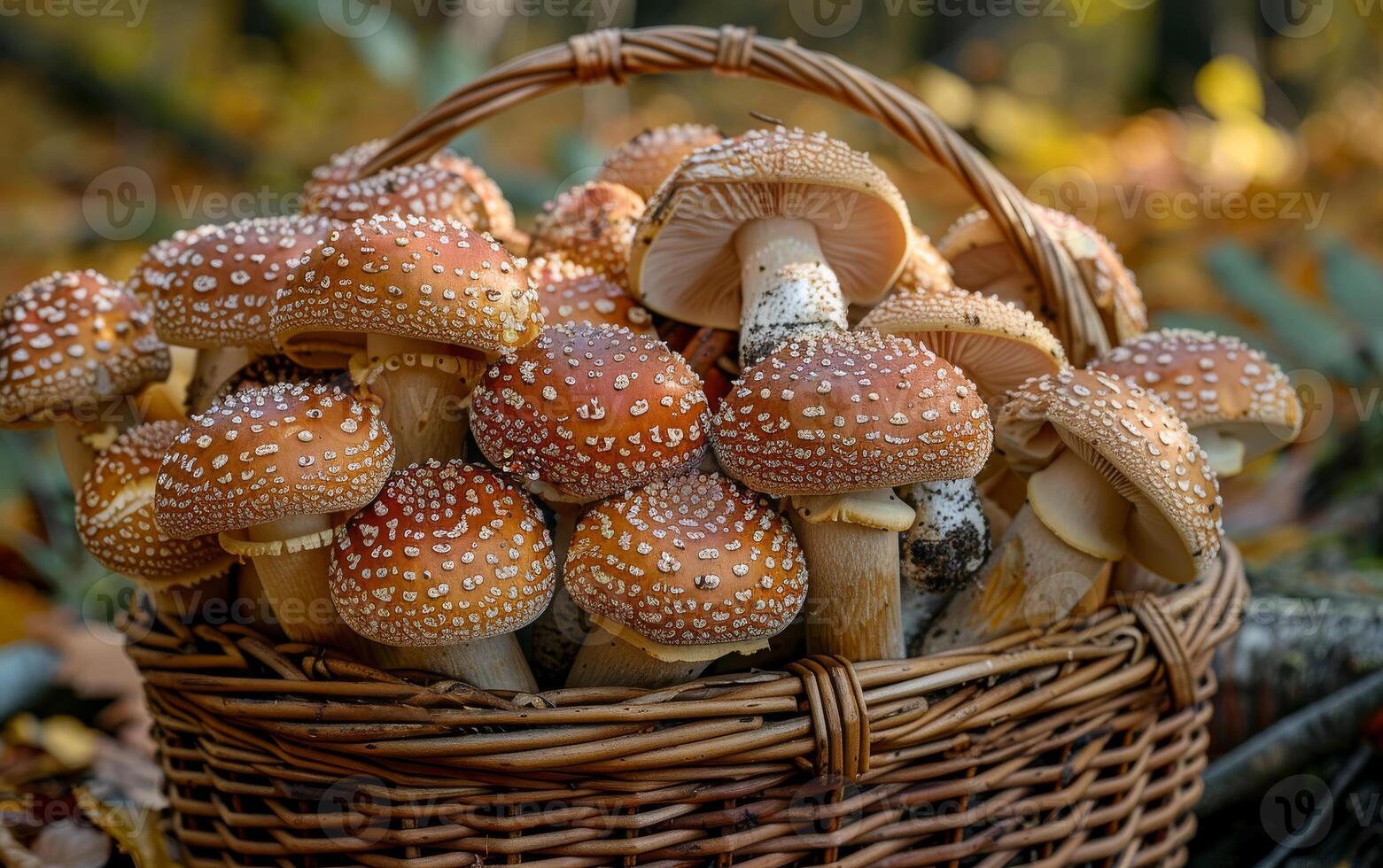 ai généré panier plein de champignons dans le l'automne forêt photo