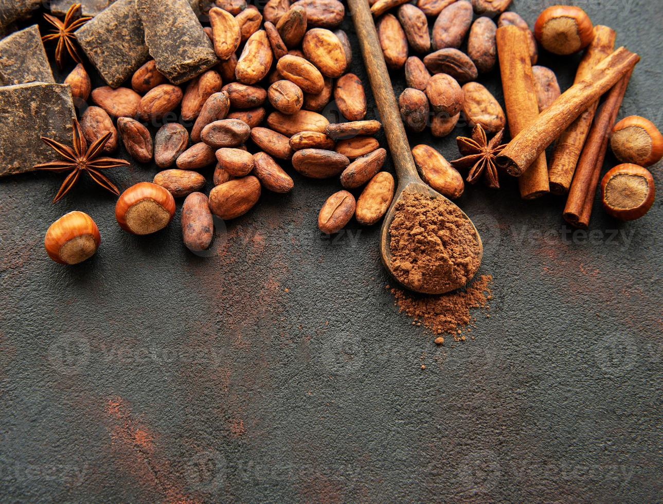 cacao en poudre et fèves photo