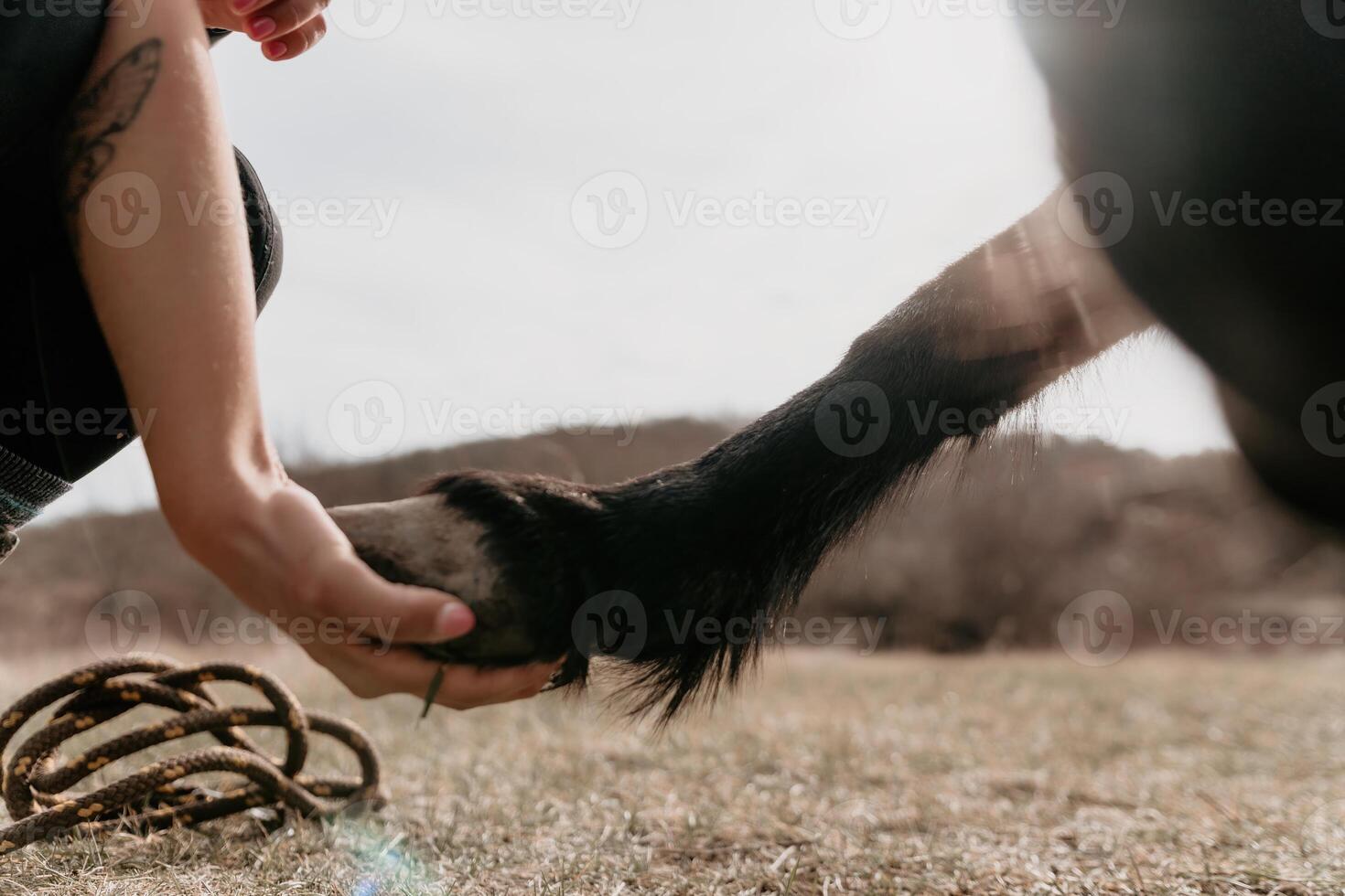 Jeune content femme avec sa poney cheval dans soir le coucher du soleil lumière. Extérieur la photographie avec mode modèle fille. mode de vie ambiance. oncept de Extérieur équitation, des sports et des loisirs. photo