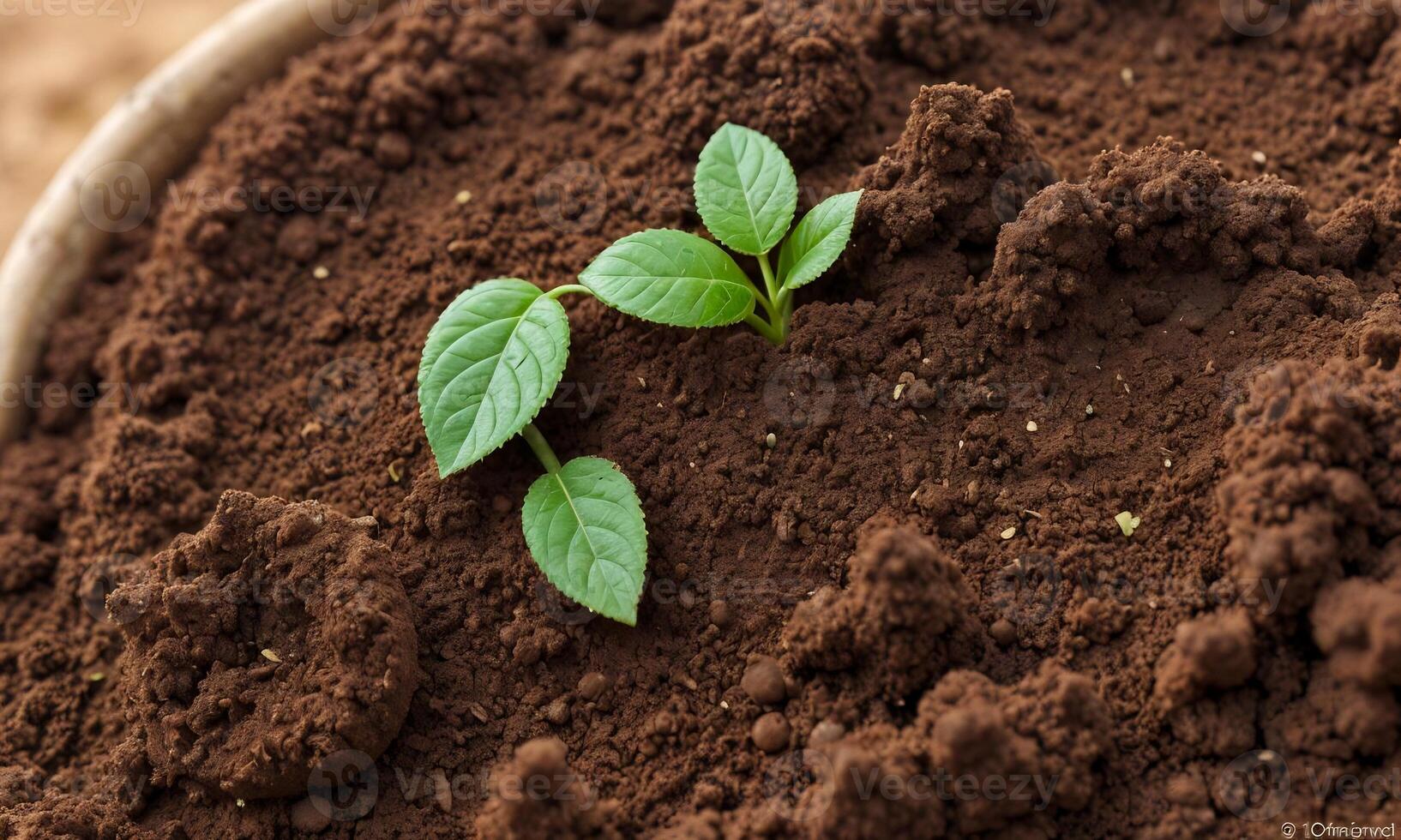 ai généré les plantes croissance de sol, plante progrès, croissance usine, grandir en haut de sol photo