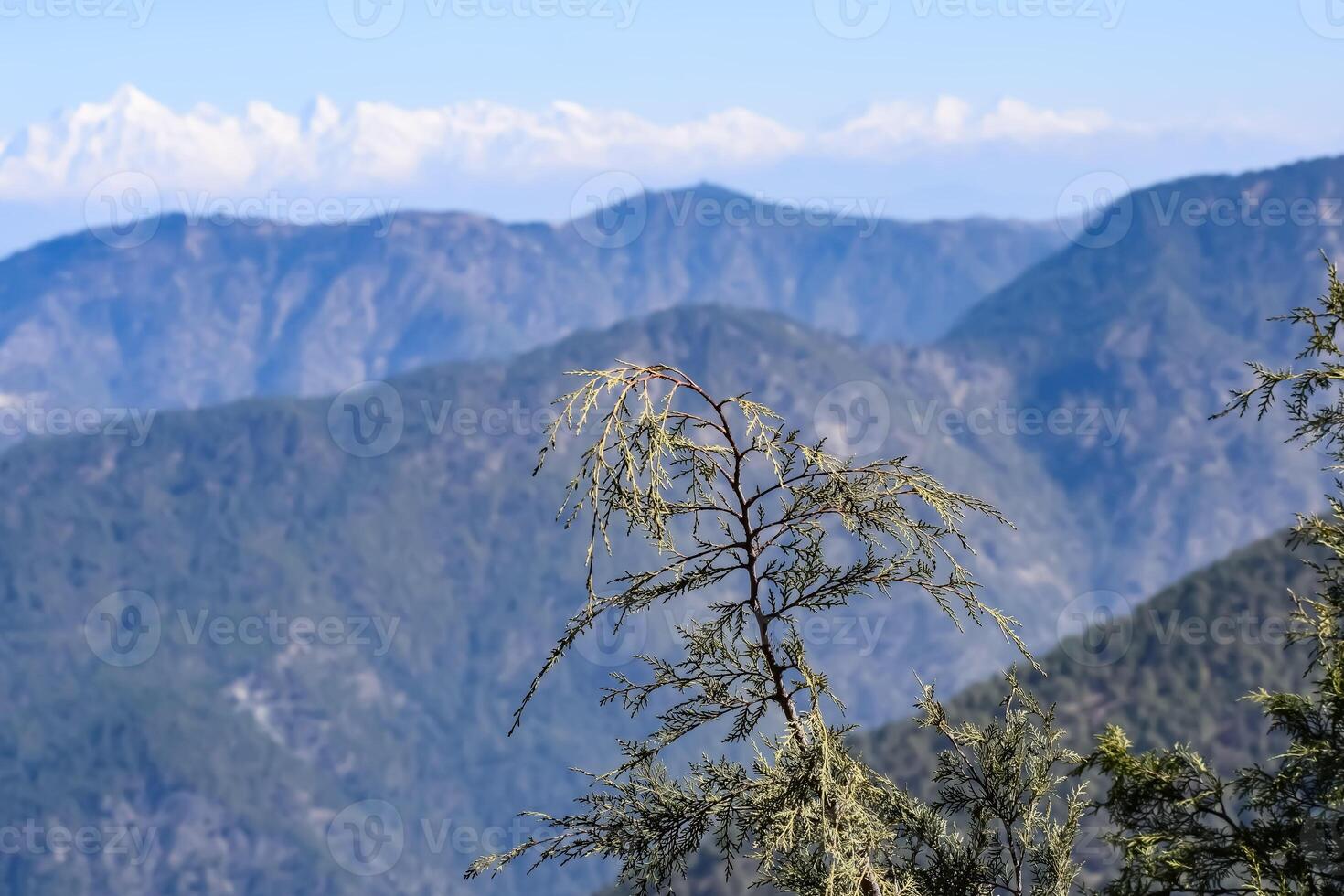 très haut sommet du nainital, inde, la chaîne de montagnes visible sur cette photo est la chaîne de l'himalaya, beauté de la montagne à nainital dans l'uttarakhand, inde