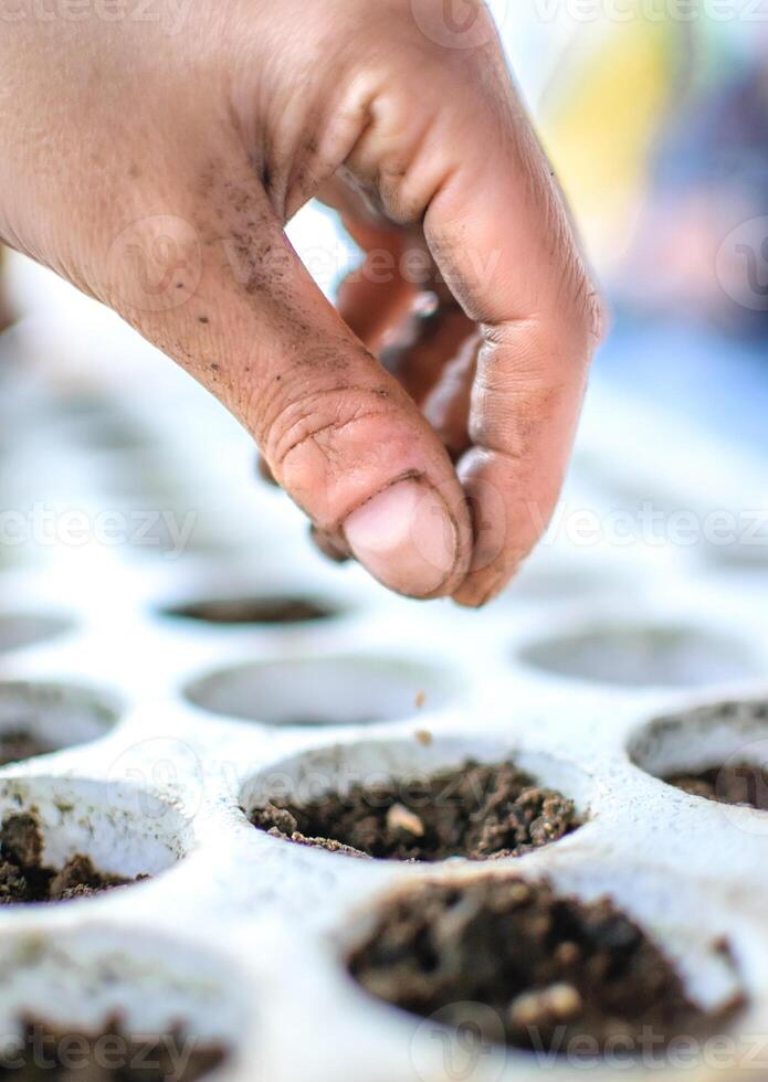 main plantation des graines dans fertile sol. Terre journée concept photo