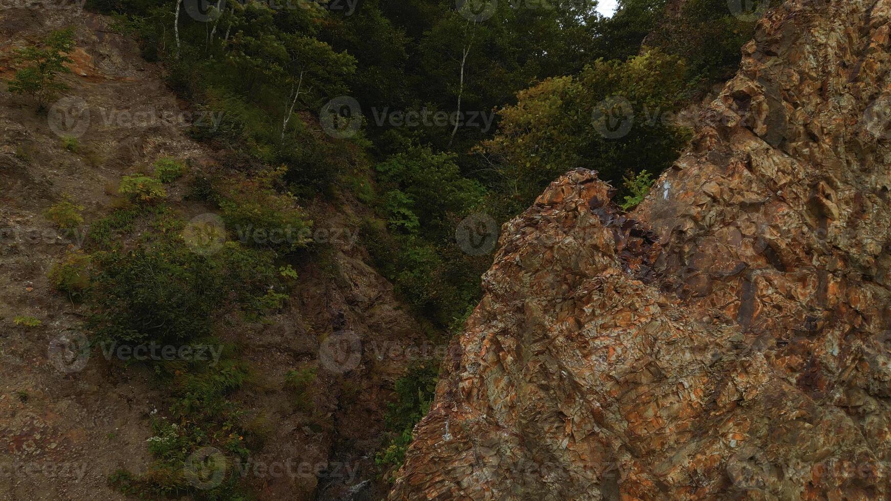 Haut vue de rocheux crête avec forêt gorge. agrafe. incroyable la nature avec rocheux pistes de vert gorge. cinématique rochers avec vert des arbres dans gorge photo