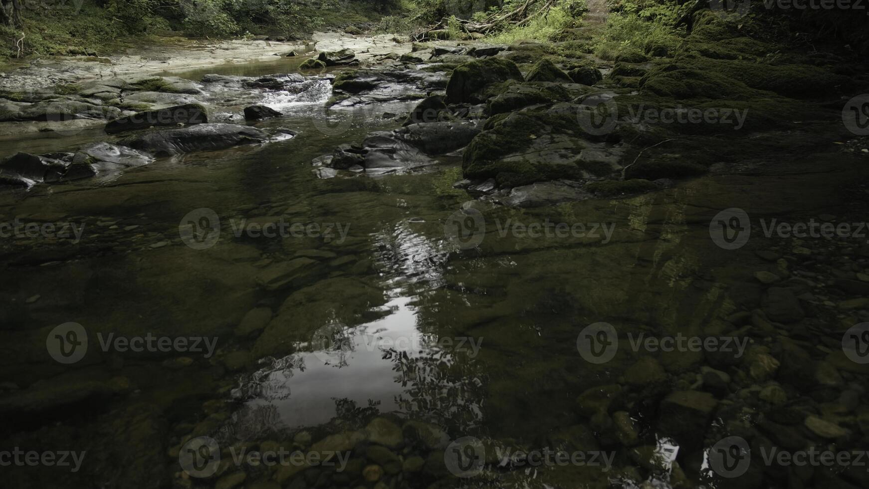 Montagne écoulement ruisseau flux. créatif. pierreux chemin et écoulement rivière. photo