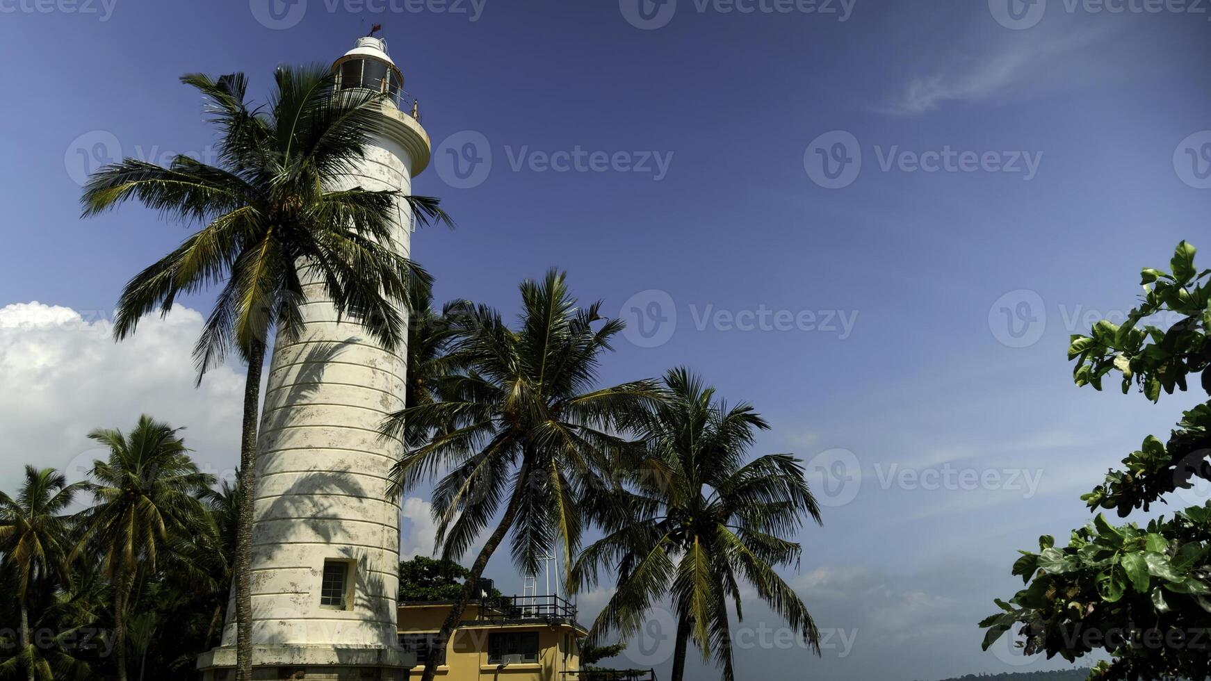 blanc phare sur le côte. action. paume des arbres et magnifique mer rive. photo