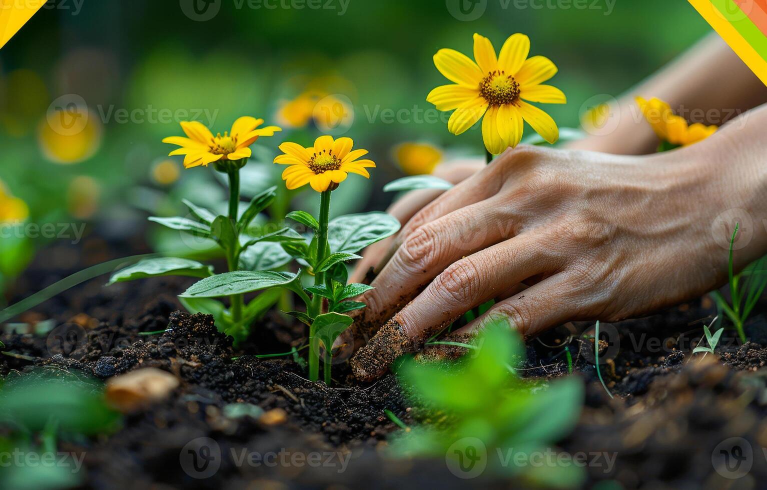 ai généré jardinier plantation Jaune fleurs dans le jardin proche en haut photo