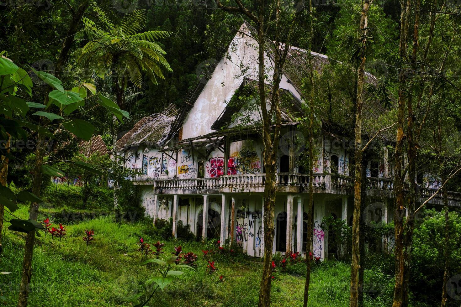 un abandonné maison dans le milieu de le forêt cette regards une peu effrayant photo