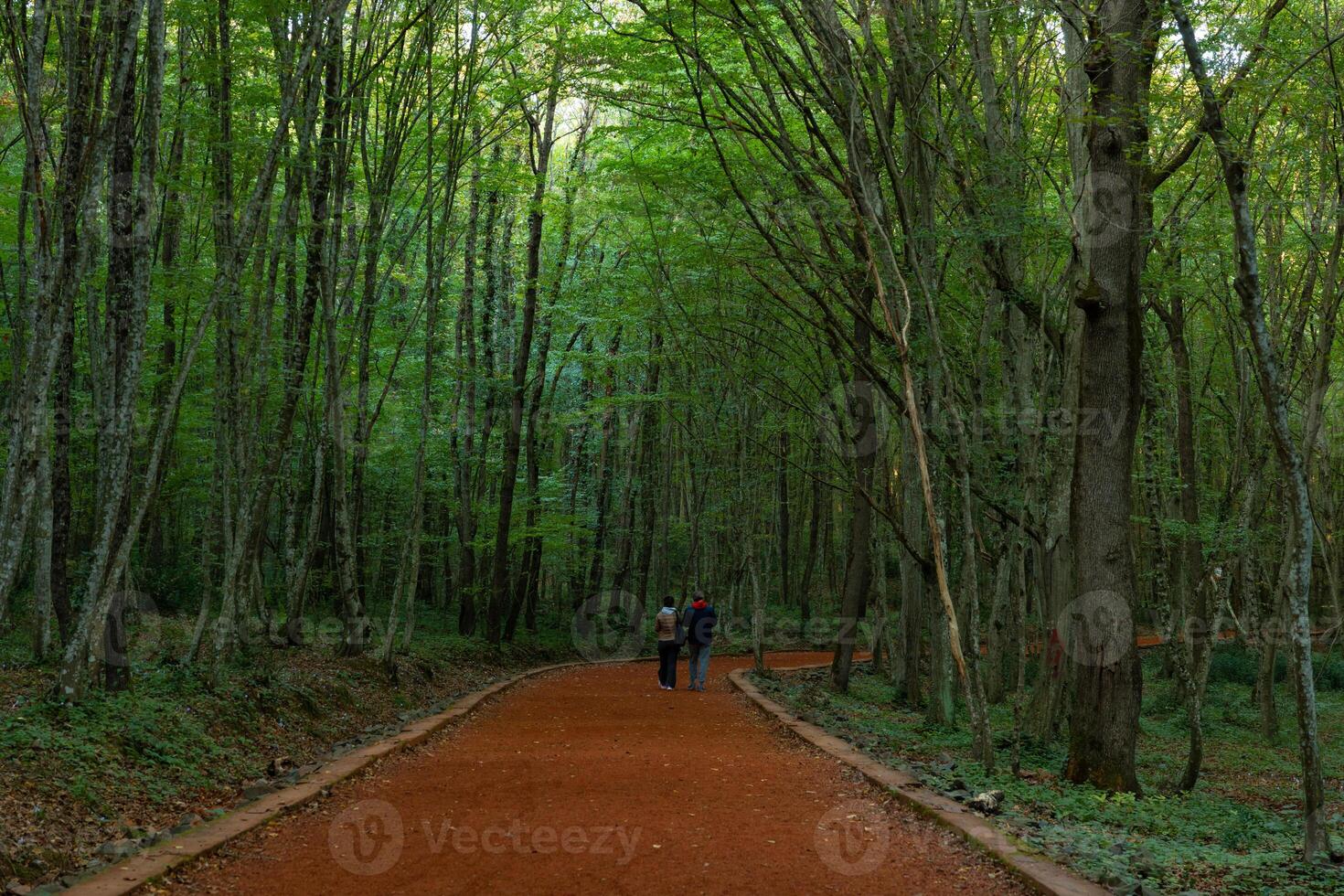 une couple en marchant sur le le jogging Piste dans une forêt photo