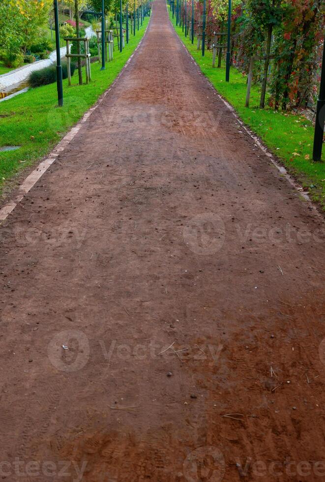 le jogging Piste verticale photo. en bonne santé mode de vie Contexte. paysage architecture concept. photo