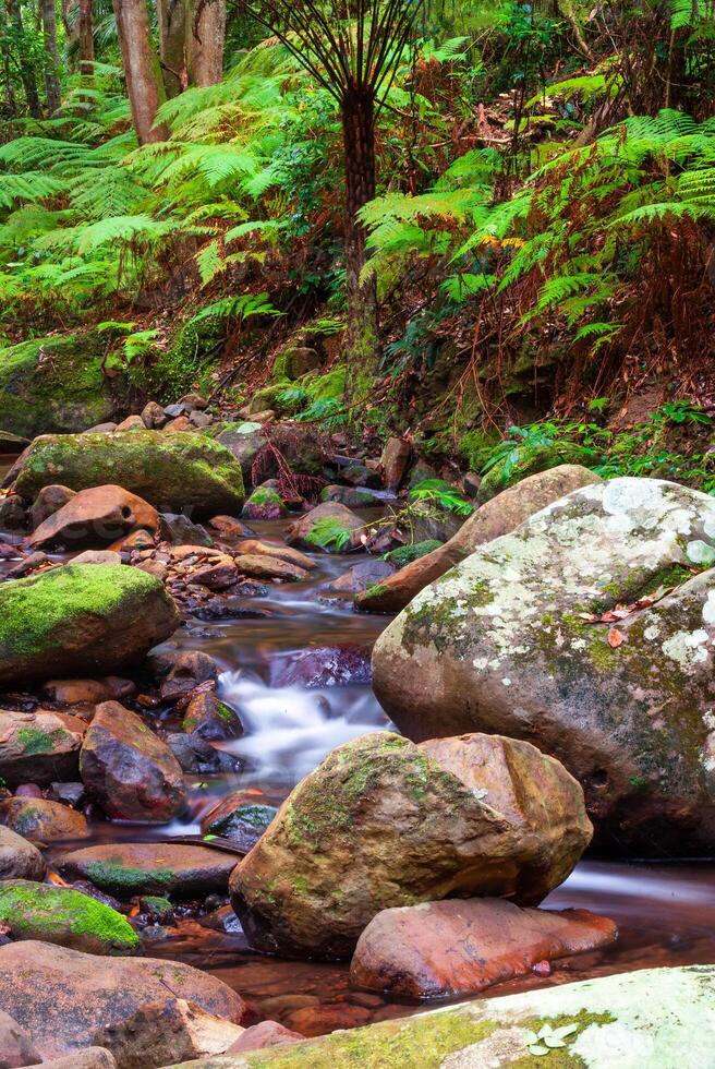 longue exposition photo de Cascade chutes, Macquarie passer nsw Australie