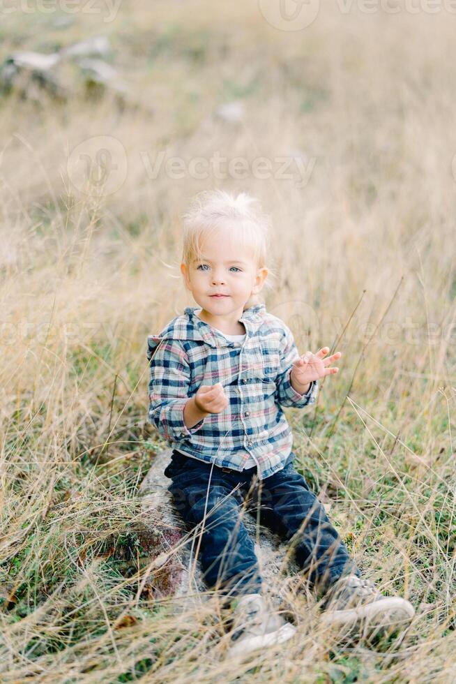 peu fille virevolte une paille dans sa mains séance sur une plat pierre dans sec herbe photo