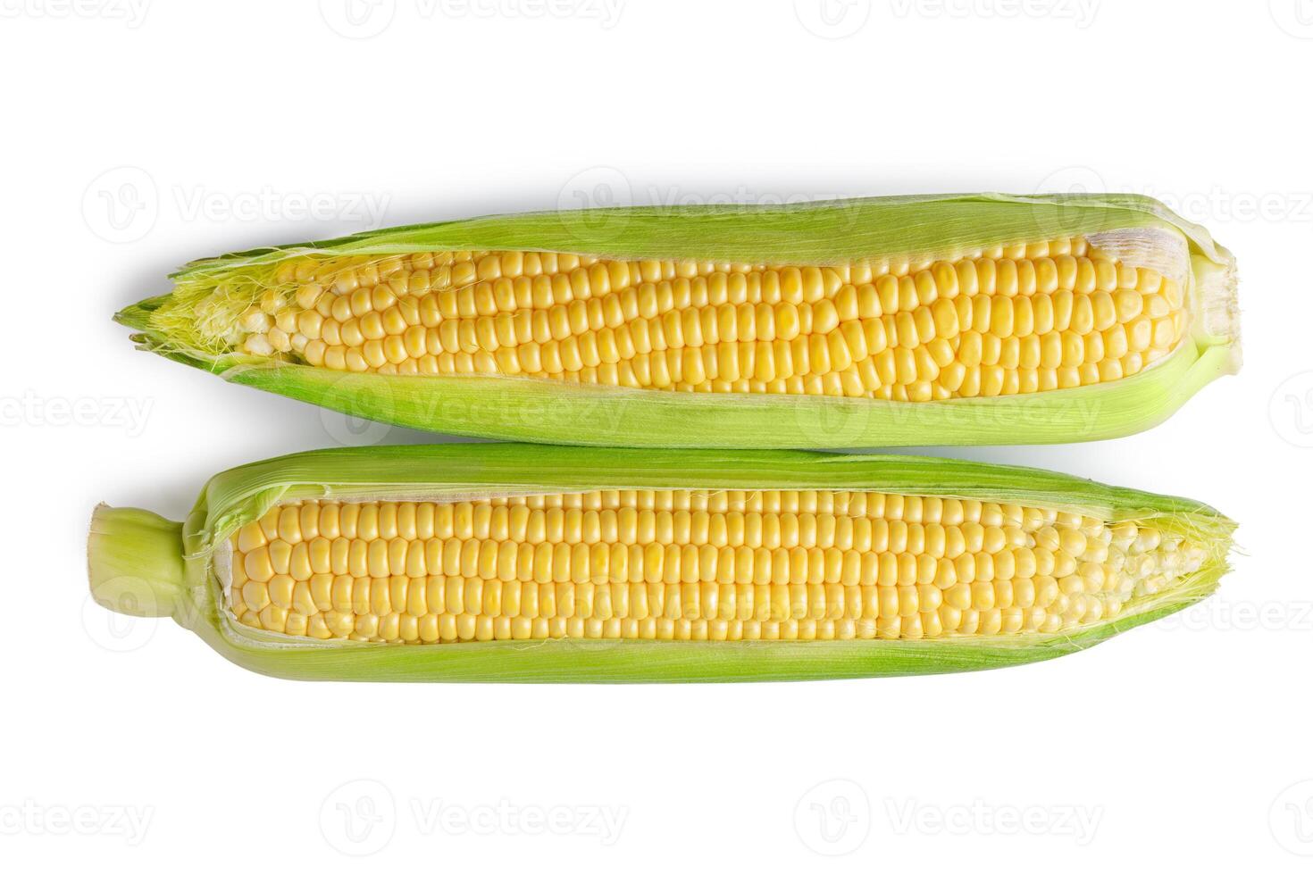 deux Frais Jaune oreilles de blé avec vert feuilles isolé sur blanc Contexte photo