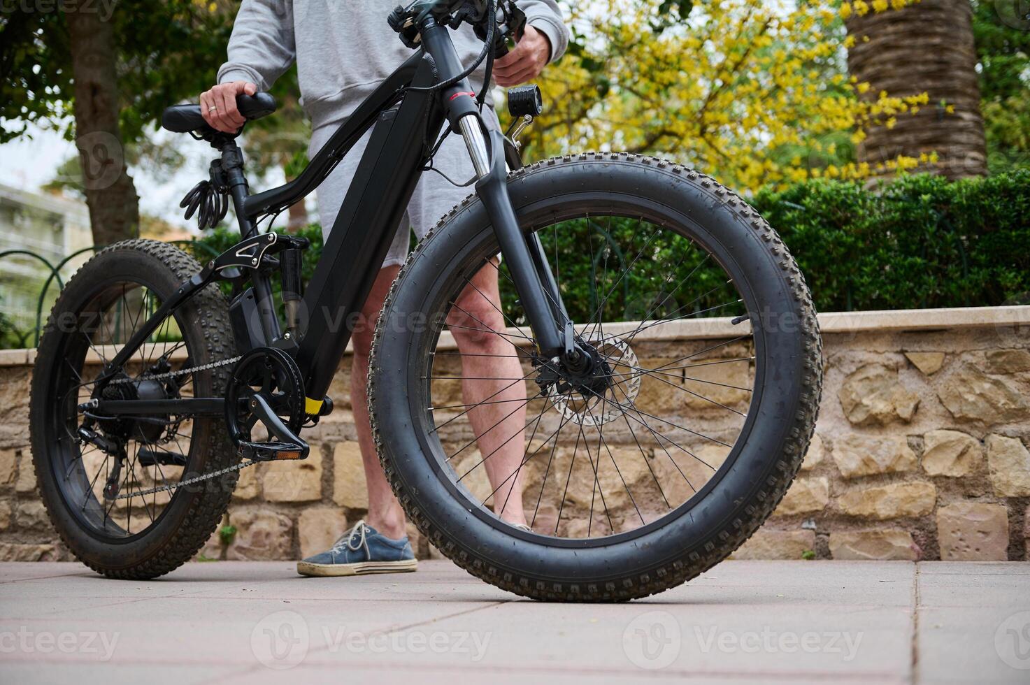 détails sur moderne écologiquement amical électrique bicyclette dans le ville, prêt pour louer. bicyclette partage ville un service photo