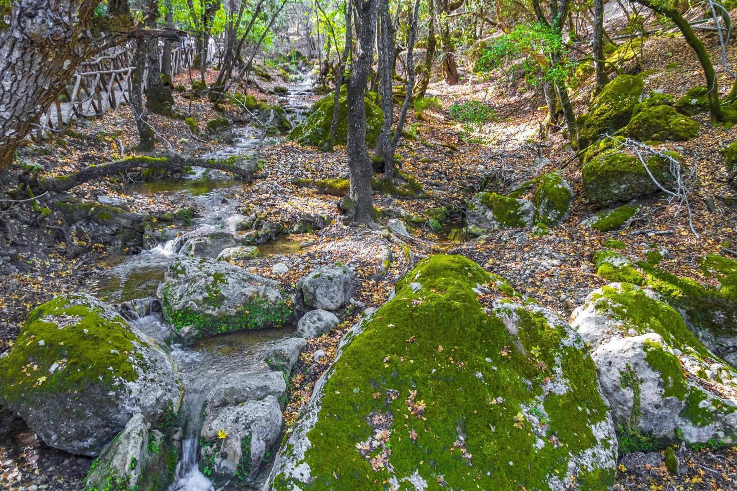 cascades et papillons d'eau de rivière flottante vallée des papillons rhodes grèce. photo