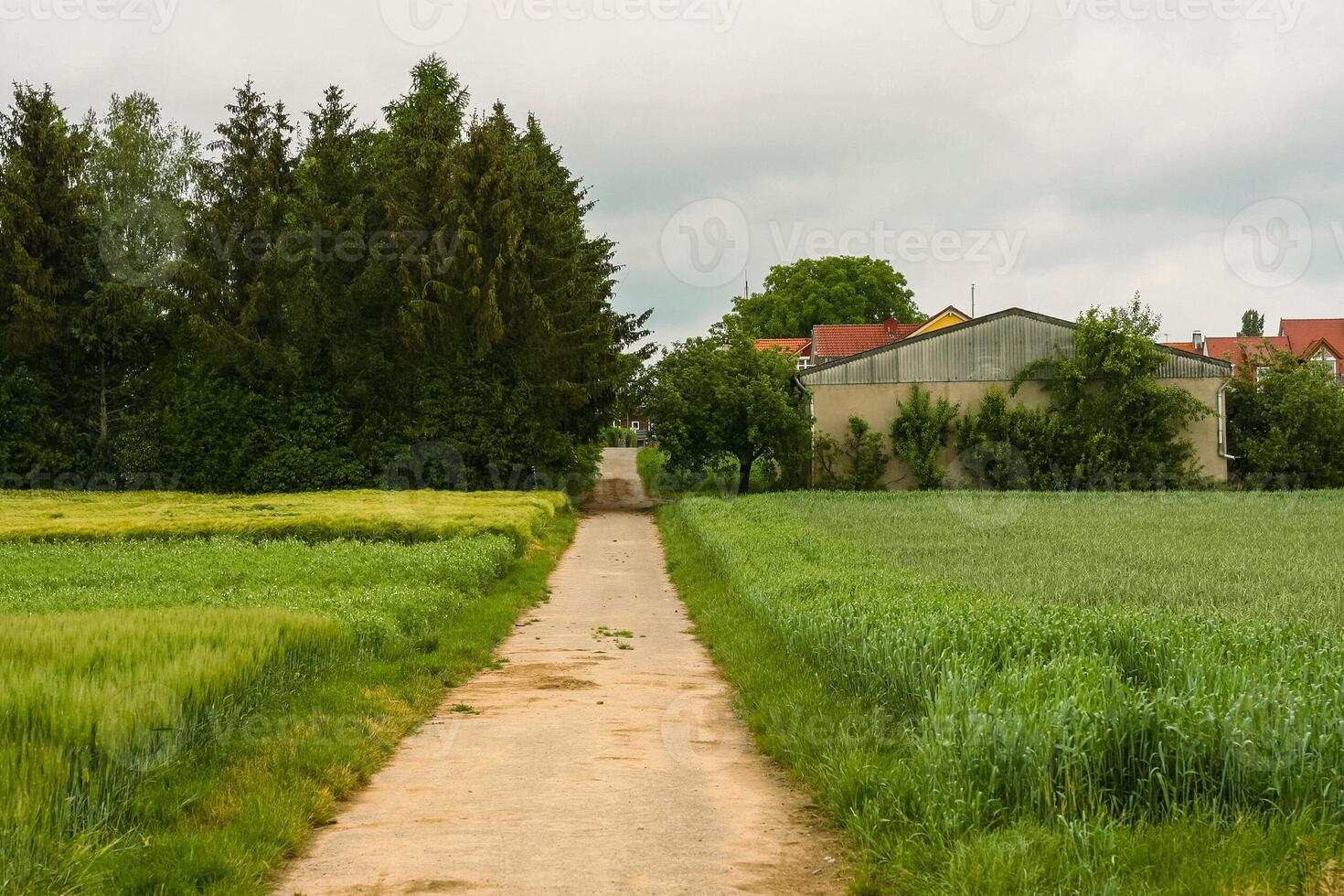 pays route Aller entre vert des champs. nuageux journée dans le village. ferme sur le bord de le des champs. le champ route pistes à le Grange et cultiver. européen rural paysage photo