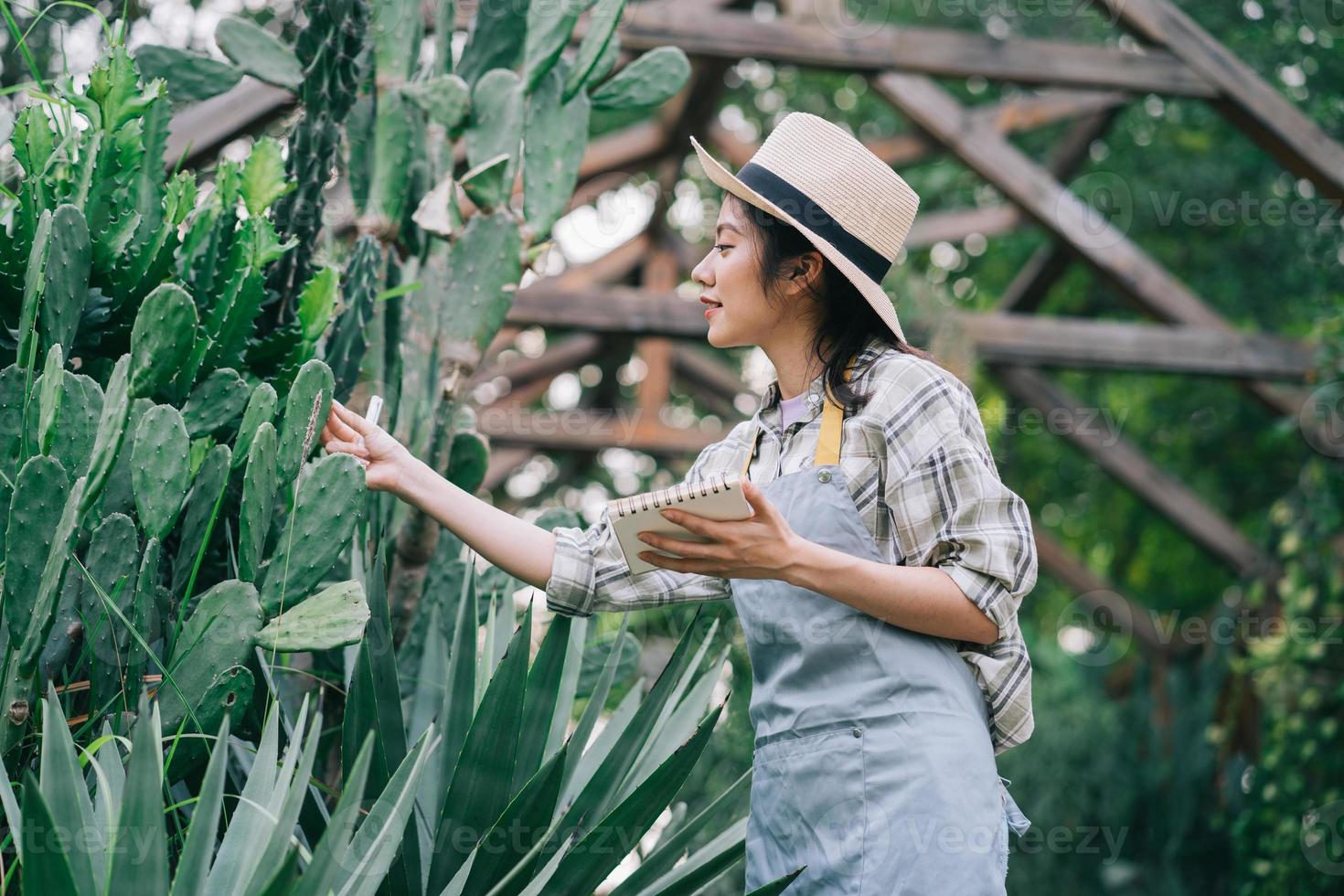 jeune femme asiatique prend soin du jardin photo