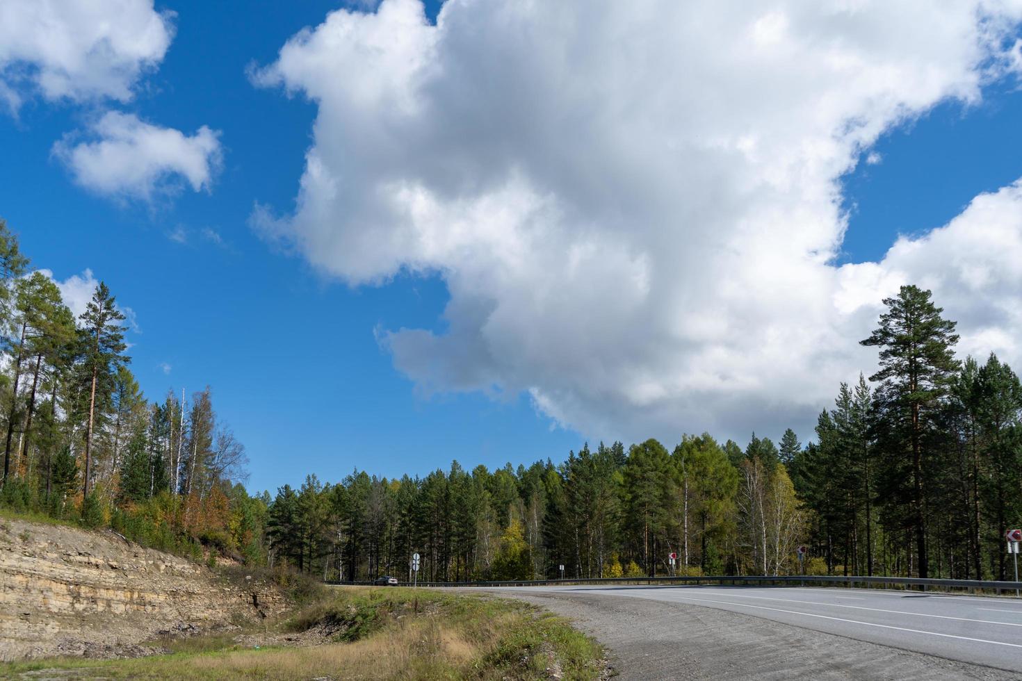 paysage naturel avec des arbres sur un fond de ciel bleu photo