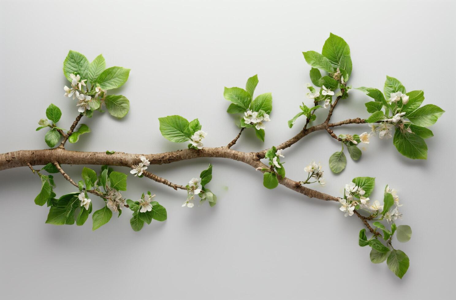 ai généré floral mimétisme de Humain poumons photo