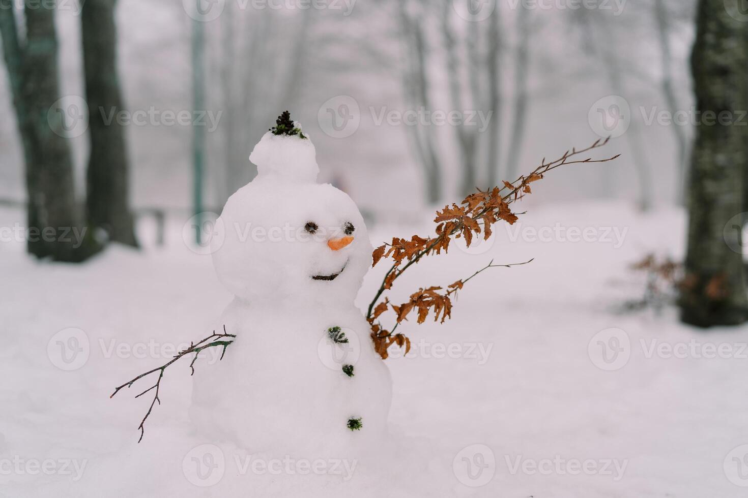 souriant bonhomme de neige dans une chapeau avec une carotte nez et mains de brindilles dans une neigeux parc photo