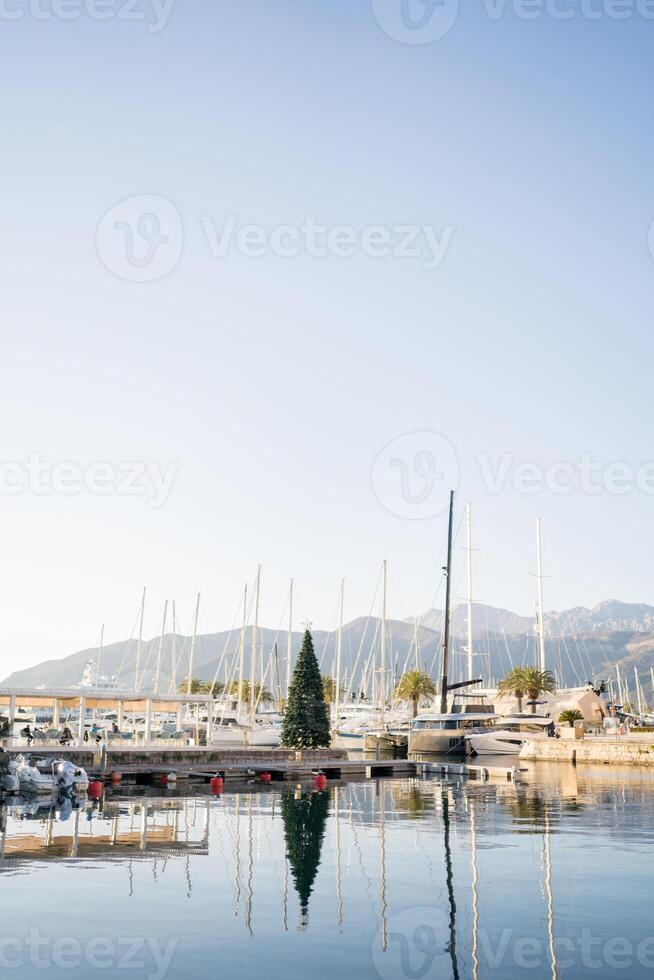 Noël arbre des stands sur le jetée près amarré voile yachts contre le toile de fond de le montagnes. Porto, Monténégro photo