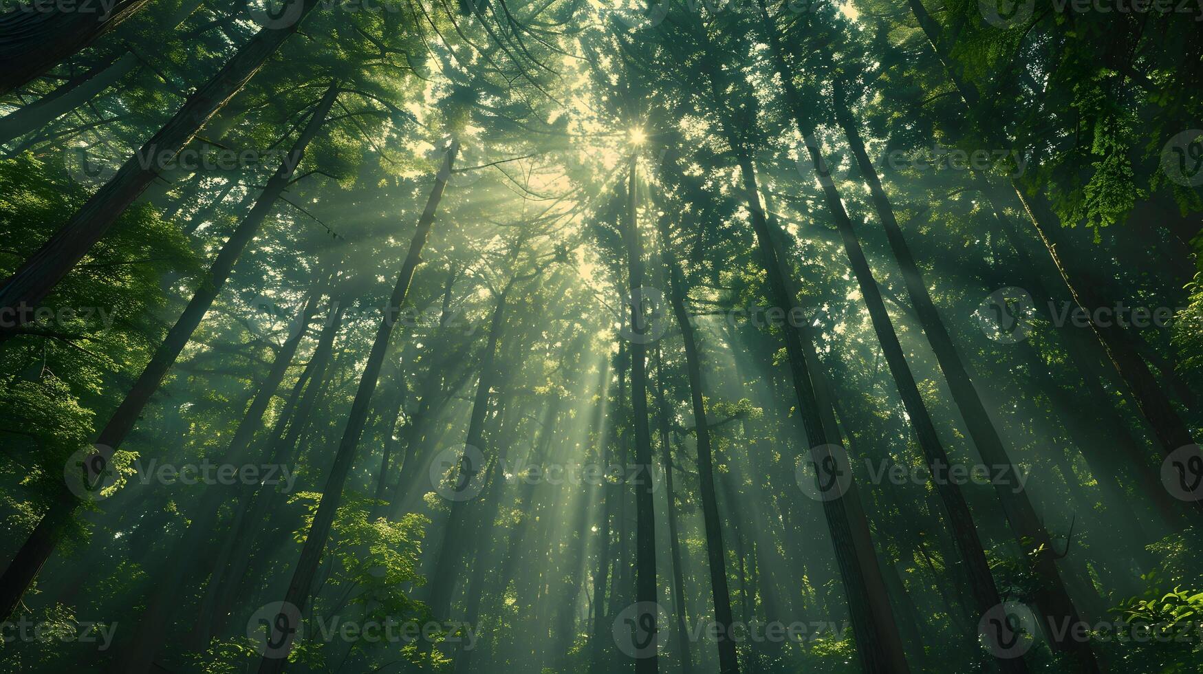 ai généré lumière du soleil filtration par forêt des arbres dans une Naturel paysage photo
