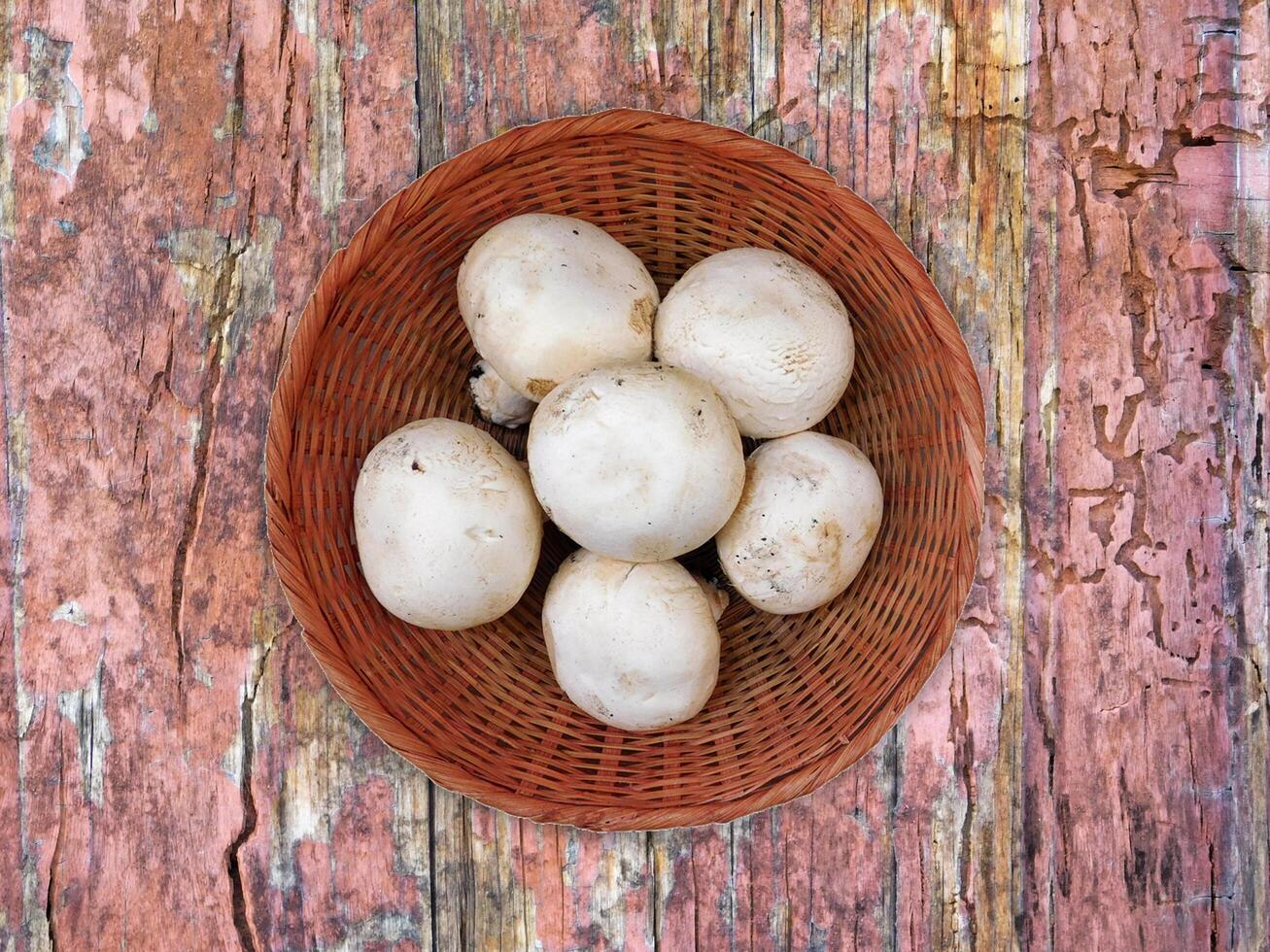 champignons sur le fond en bois photo