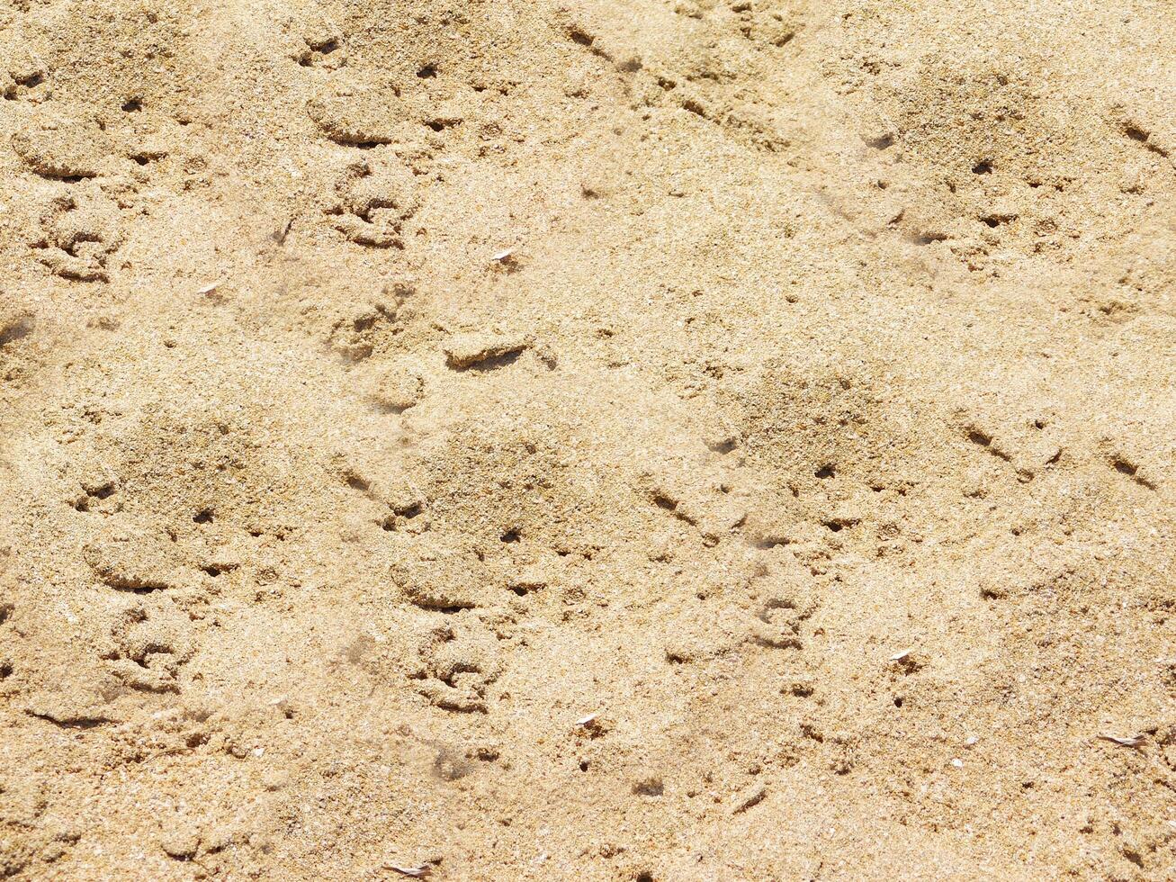 texture de sable à l'extérieur dans le jardin photo