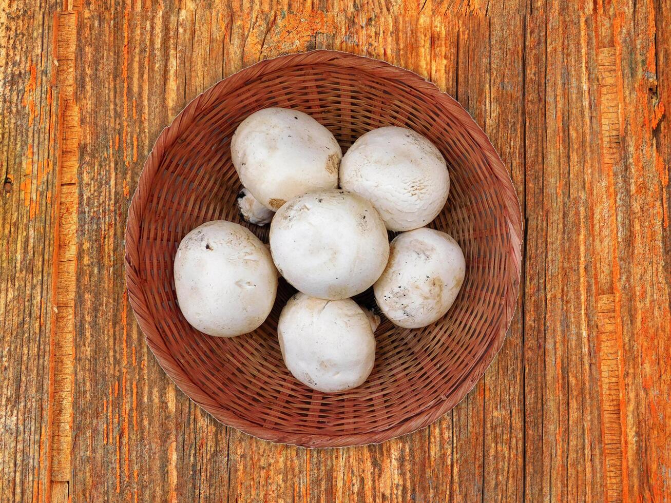 champignons sur le fond en bois photo