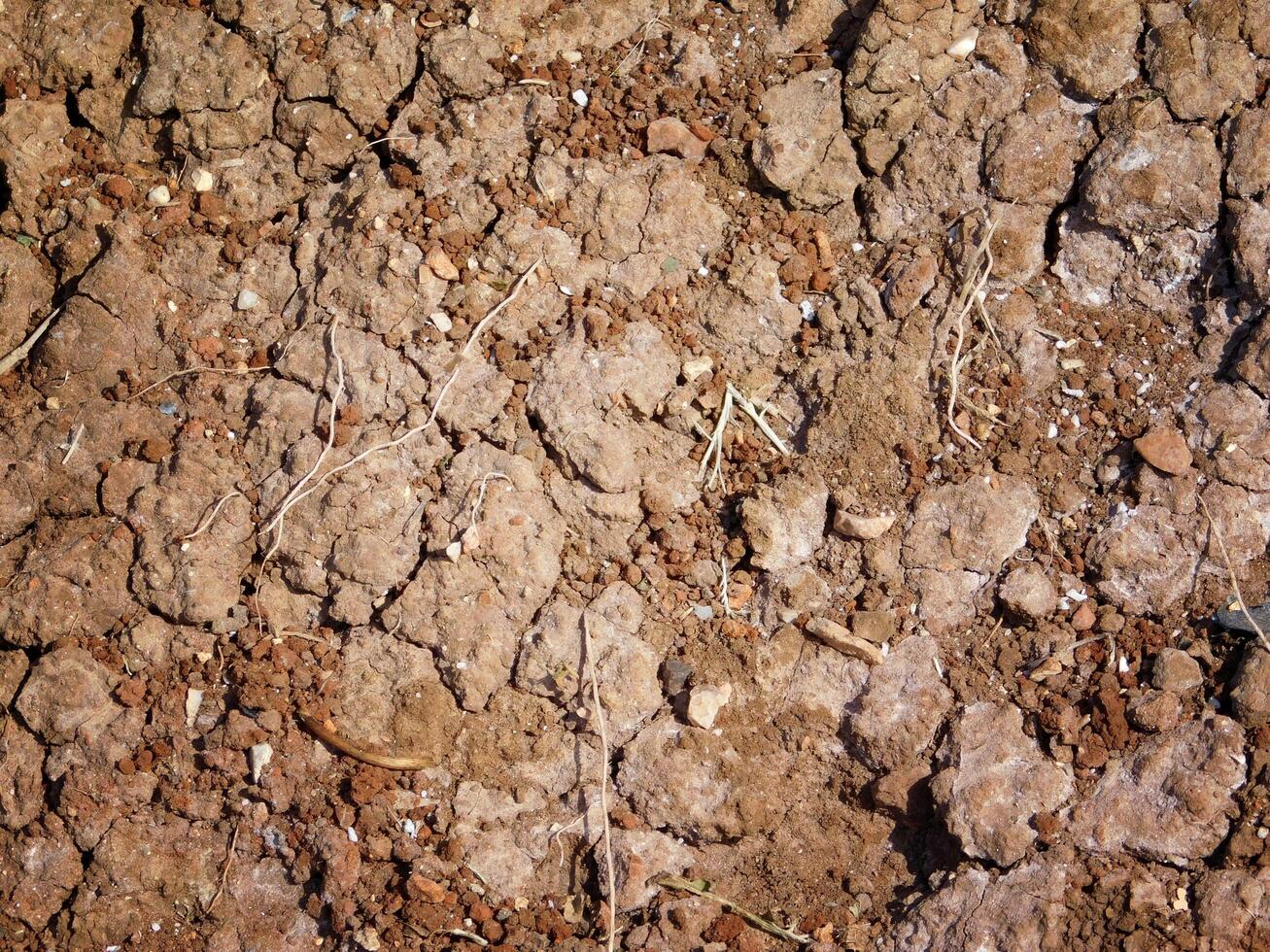 aride terre Extérieur photo