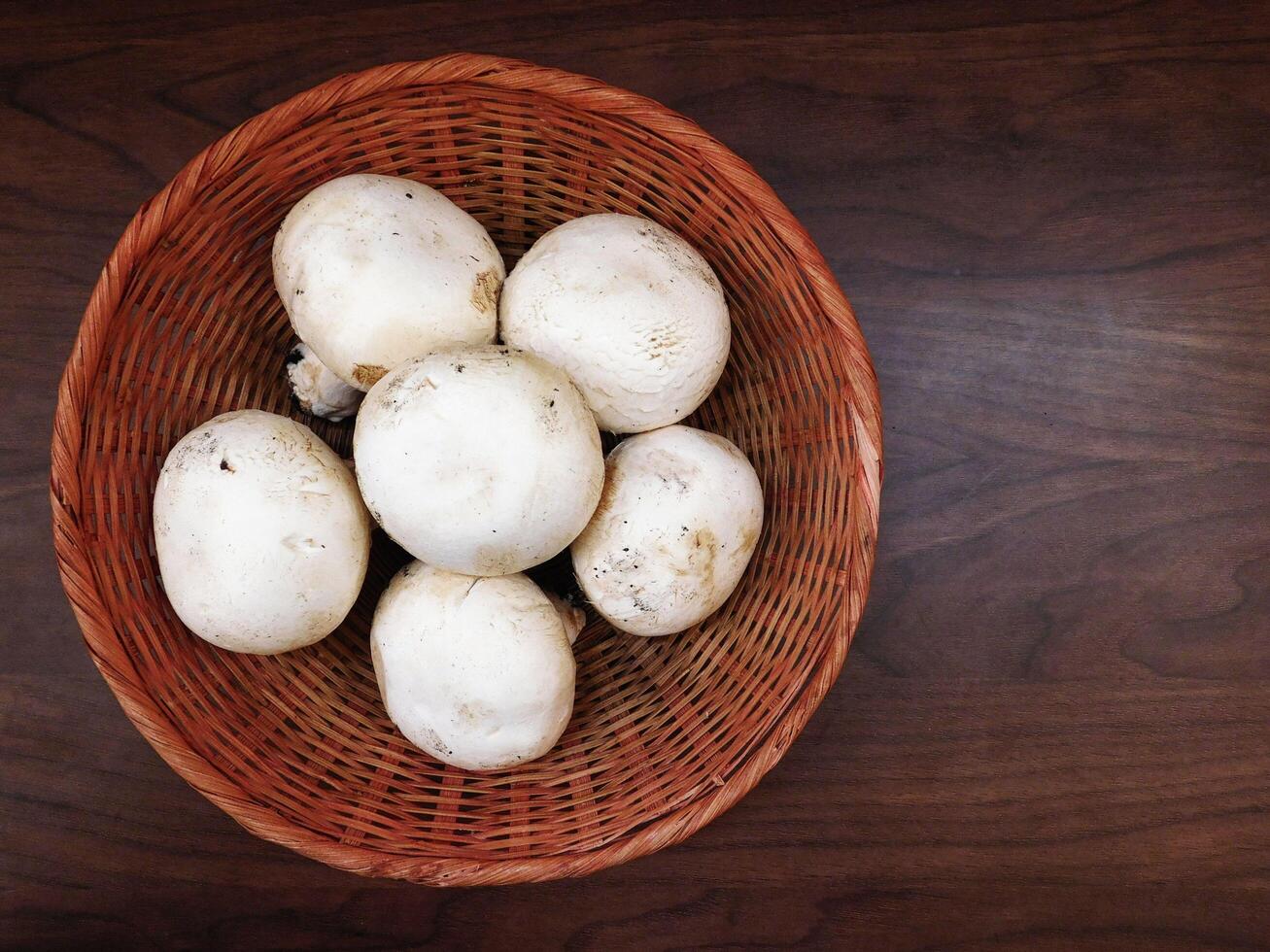 champignons dans la cuisine photo