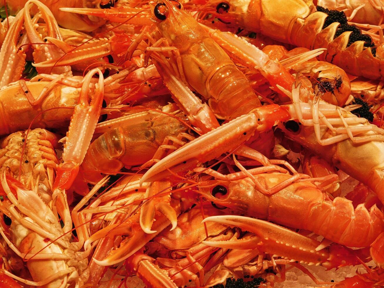 crevettes dans la cuisine photo