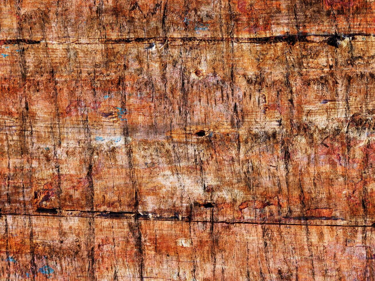 texture du bois à l'extérieur dans le jardin photo