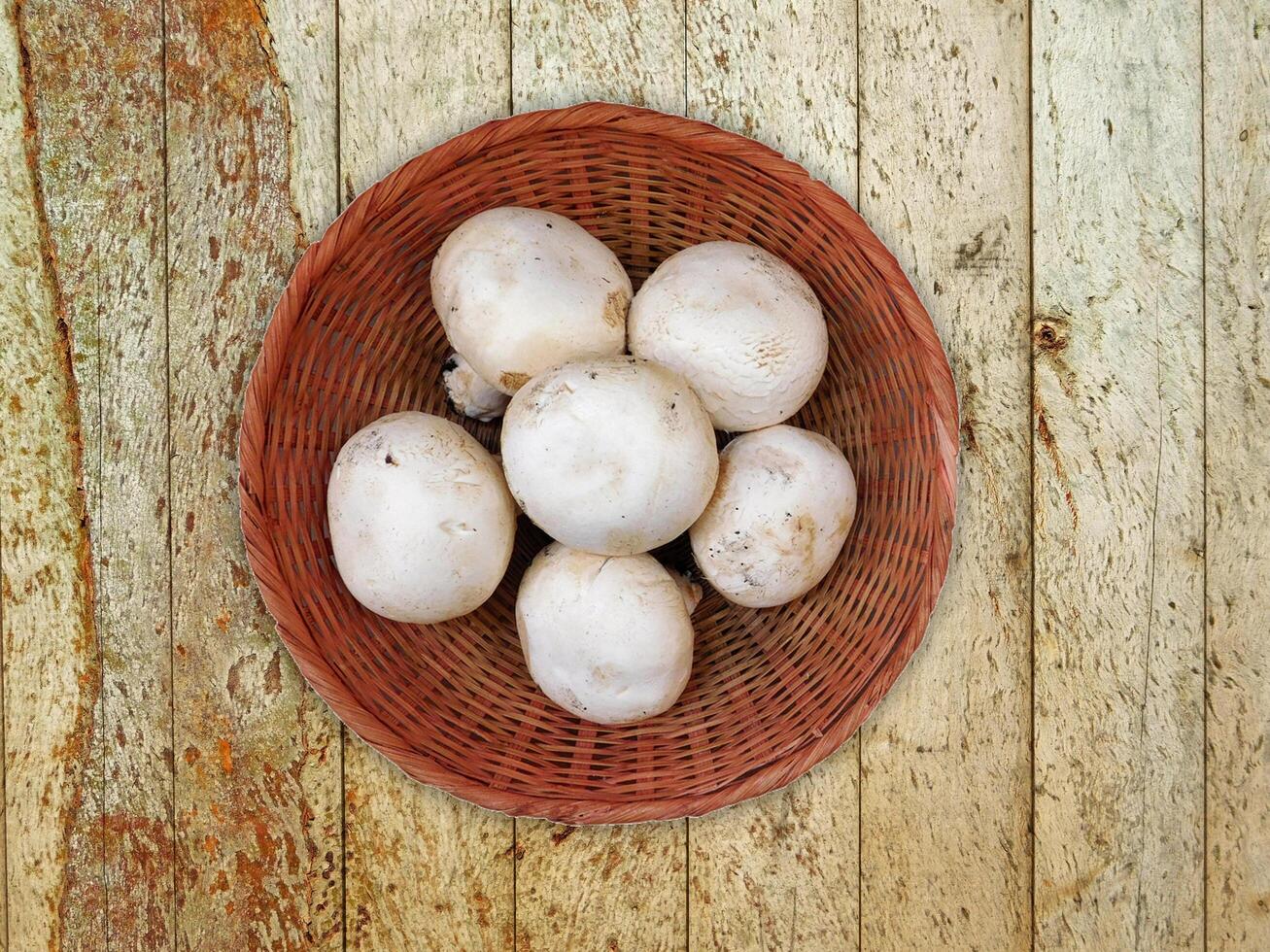 champignons sur le fond en bois photo