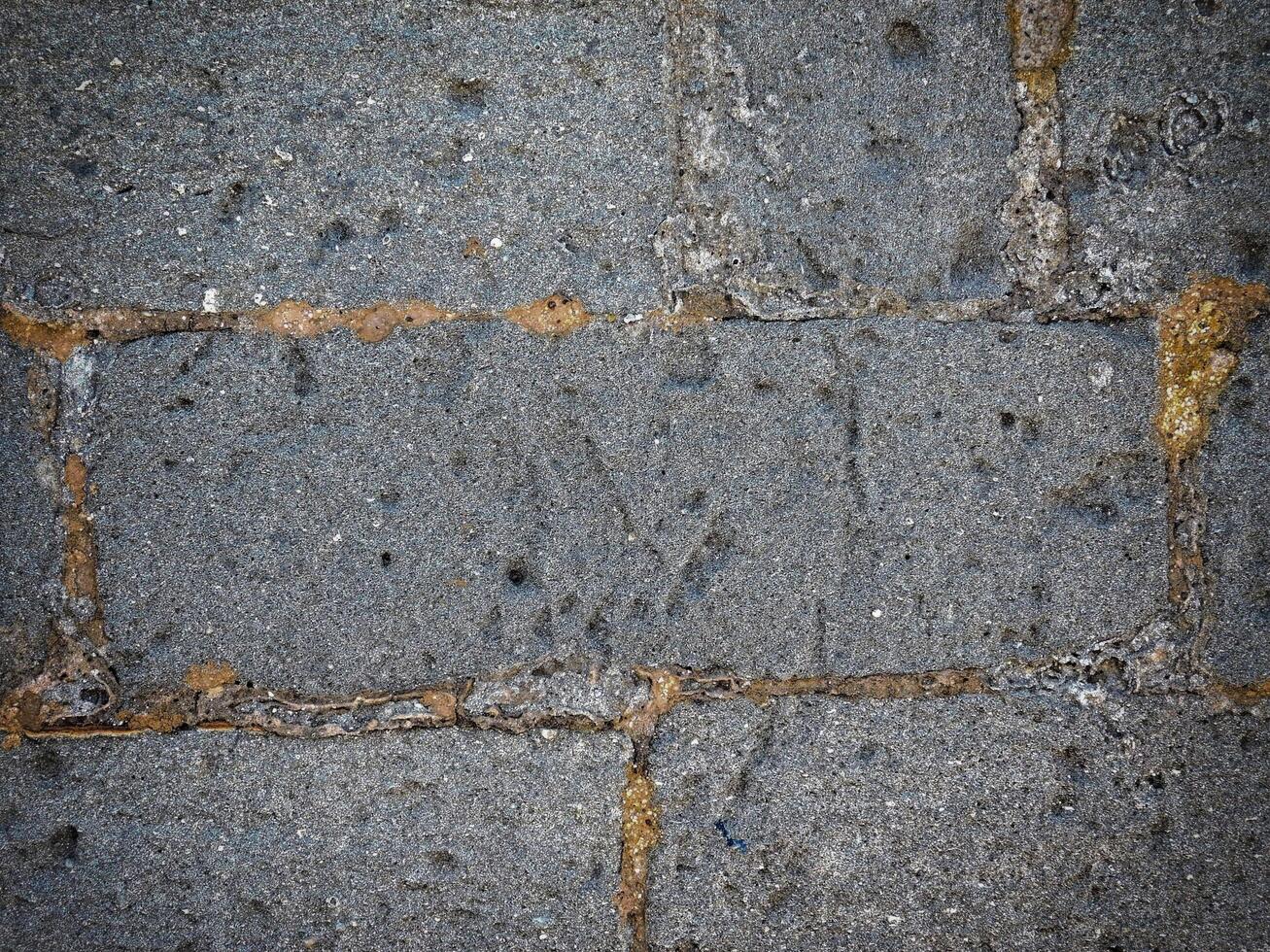 texture de pierre sombre dans le jardin photo