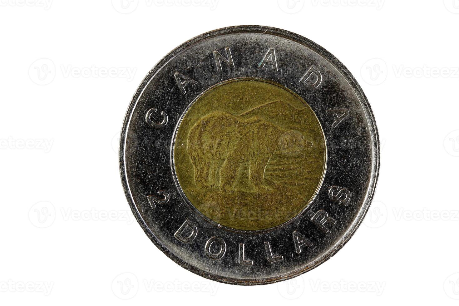 canadien deux dollar métal pièce de monnaie ours côté photo