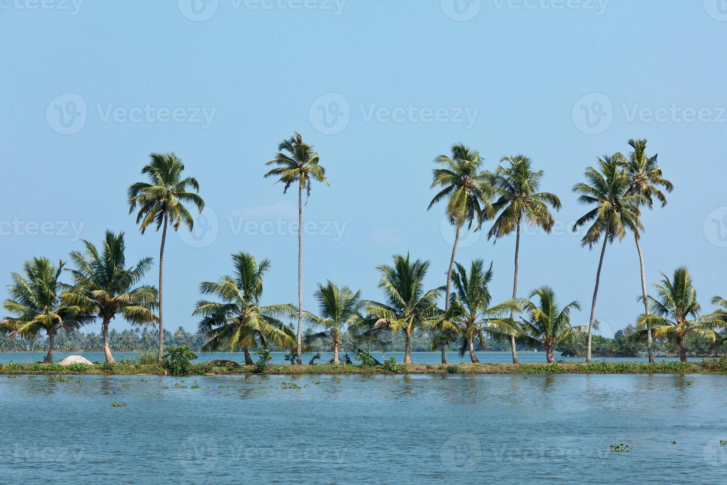 Kerala les backwaters, Inde photo