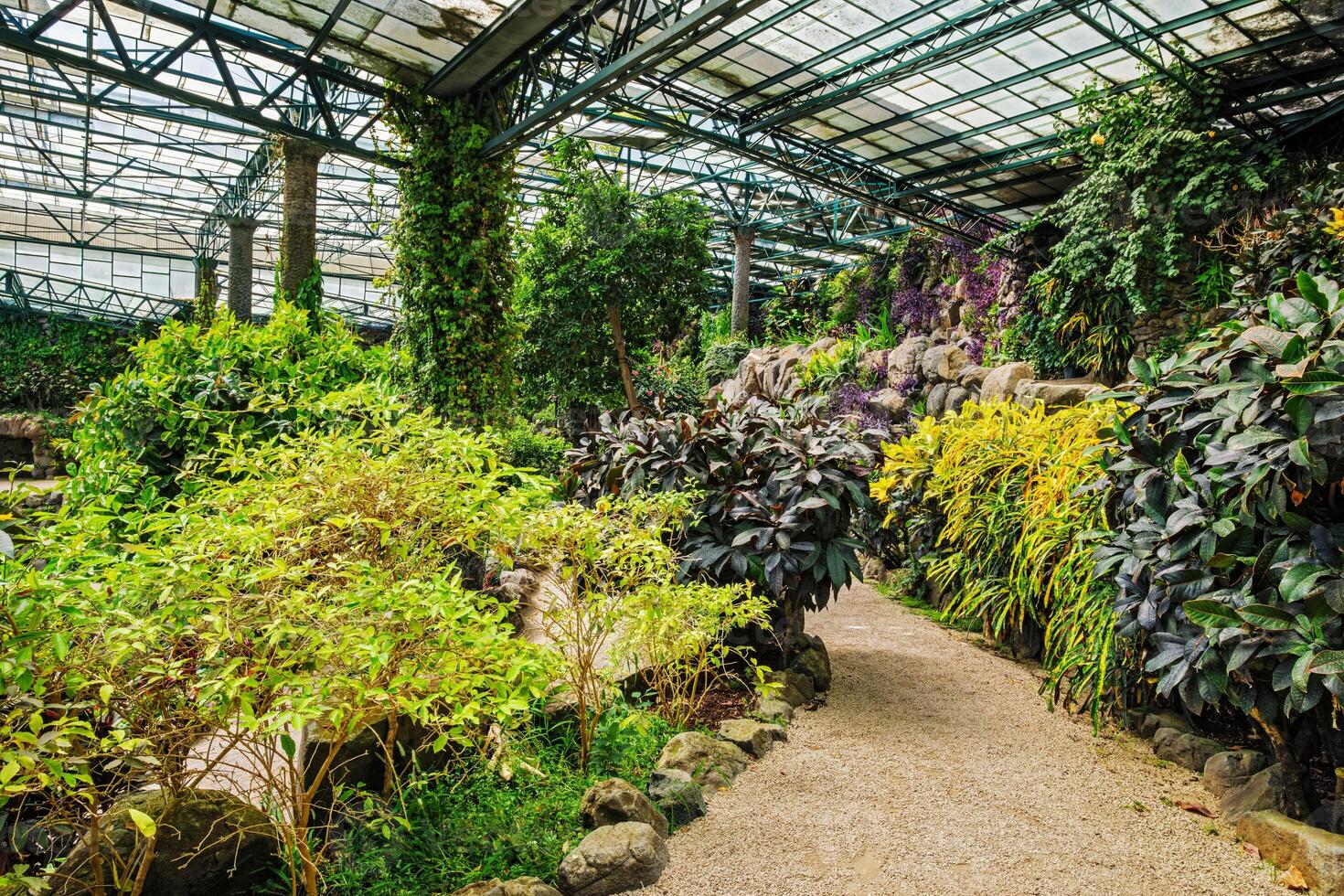 le du froid maison estufa fria est une serre avec jardins, les étangs, les plantes et des arbres dans Lisbonne, le Portugal photo