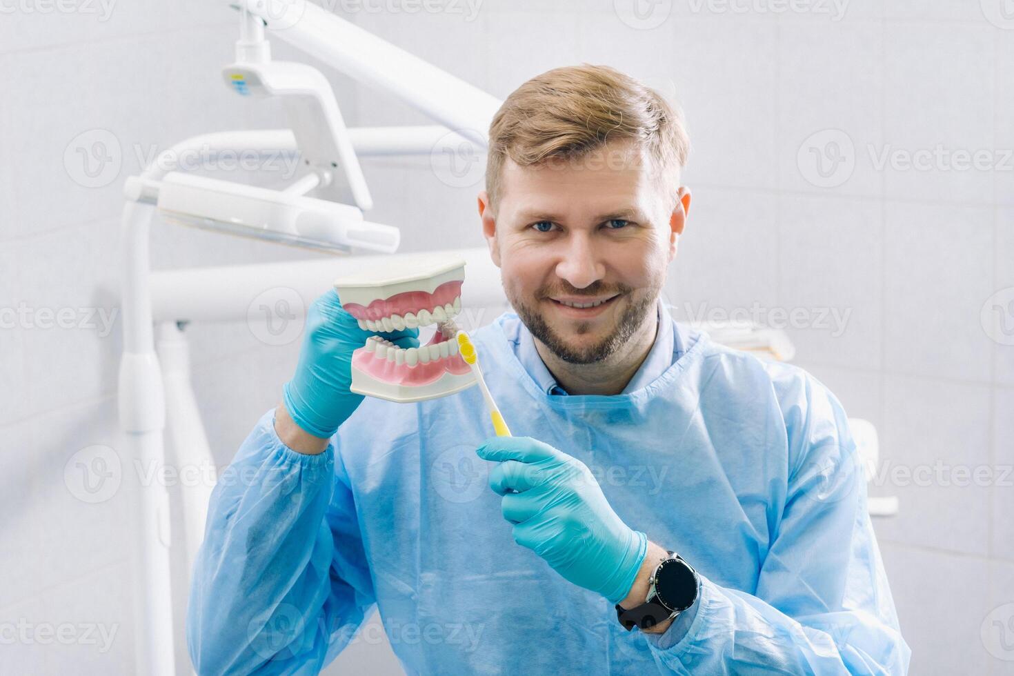 une modèle de une Humain mâchoire avec les dents et une brosse à dents dans le dentiste main photo