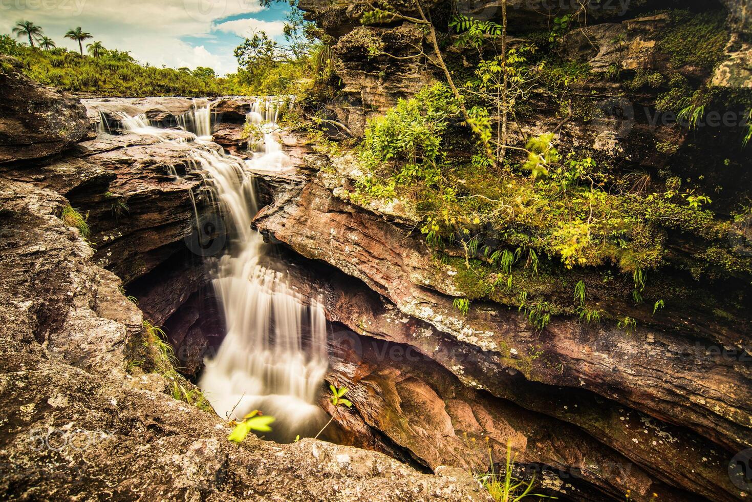 cano cristaux est une rivière dans Colombie cette est situé dans le sierra de la Macarena, dans le département de méta. il est pris en considération par beaucoup comme le plus magnifique rivière dans le monde photo