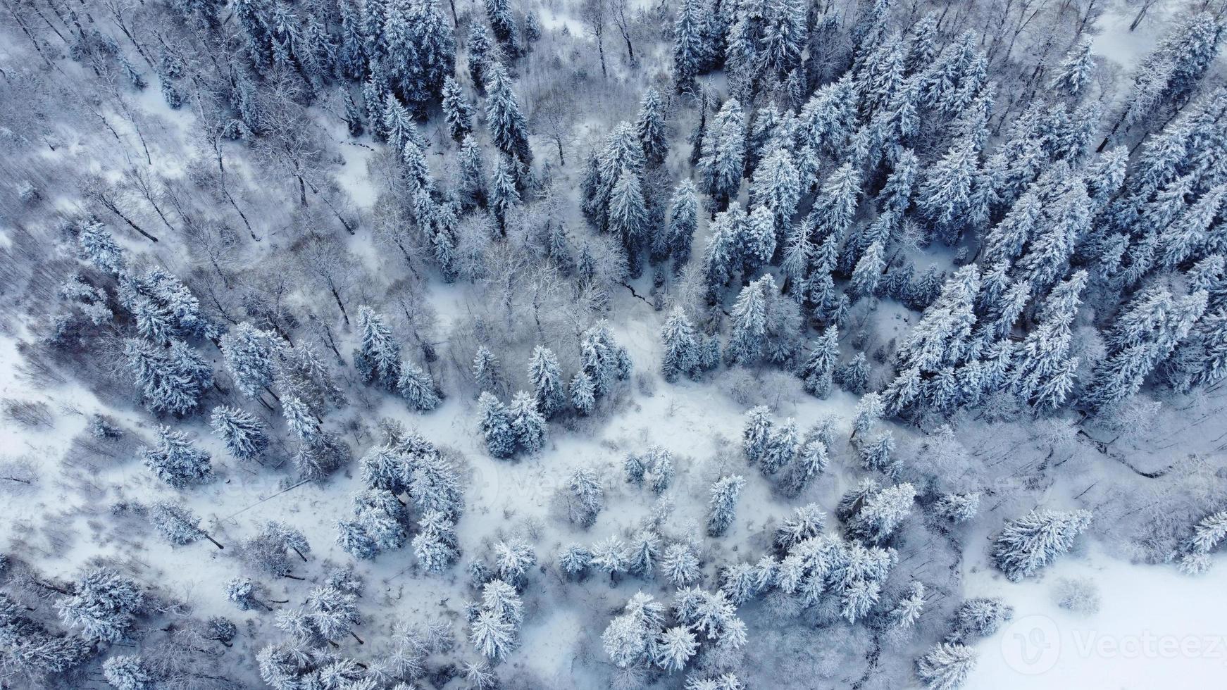 vue aérienne de la forêt enneigée - vue par drone des arbres enneigés photo