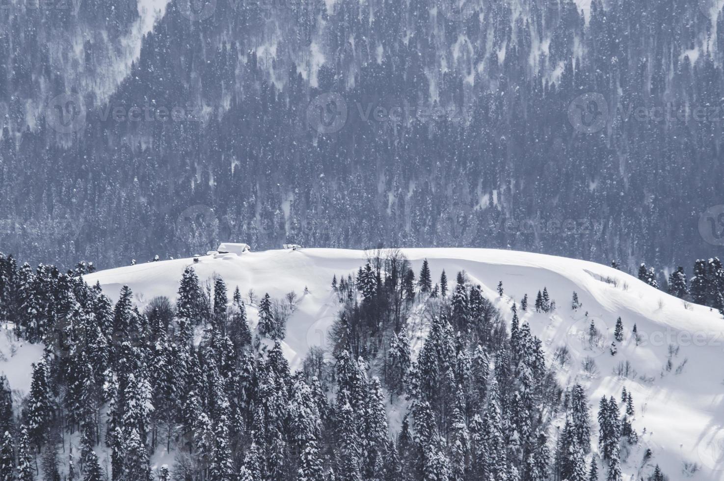 montagnes hiver neige photo