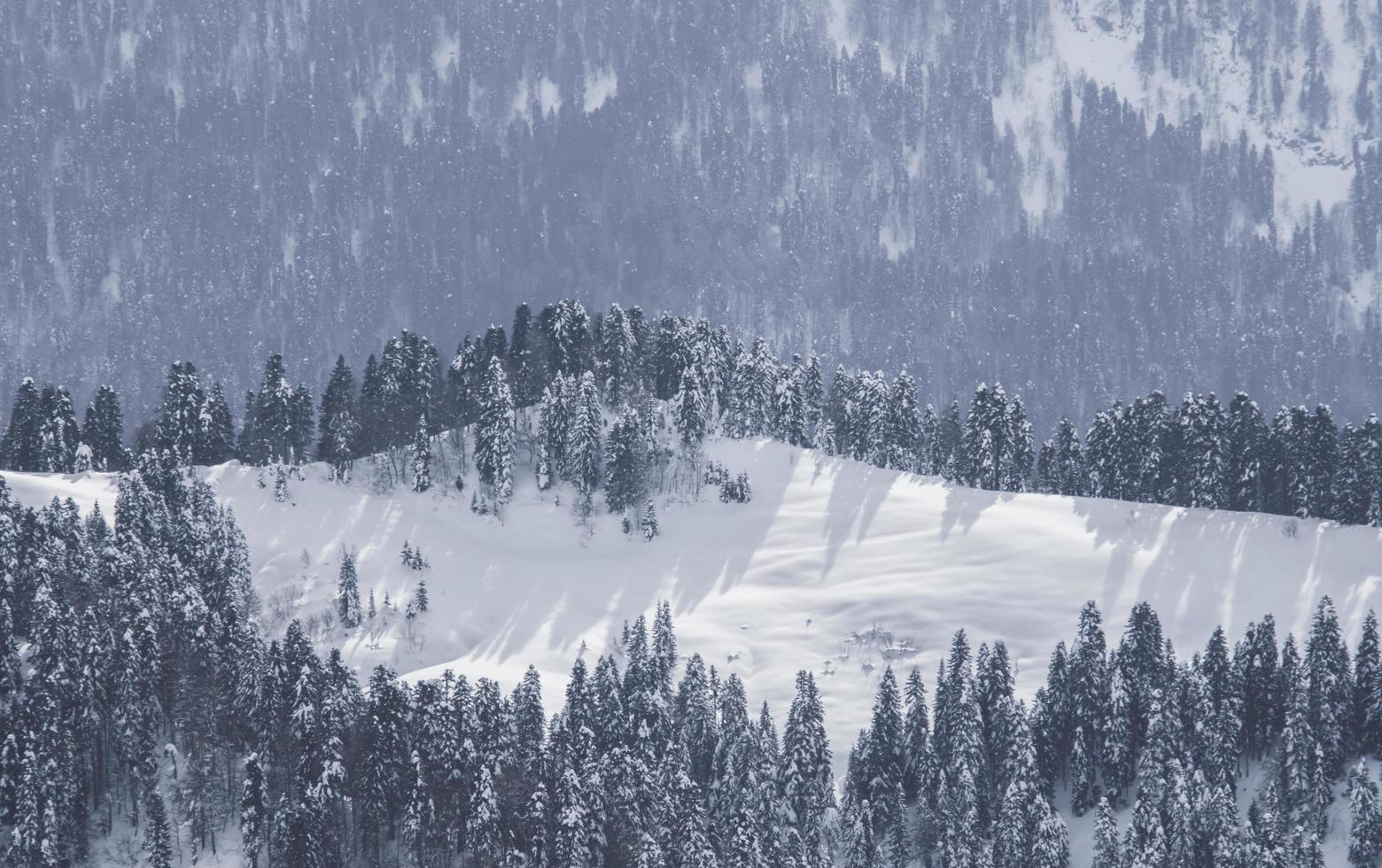 montagnes hiver neige photo