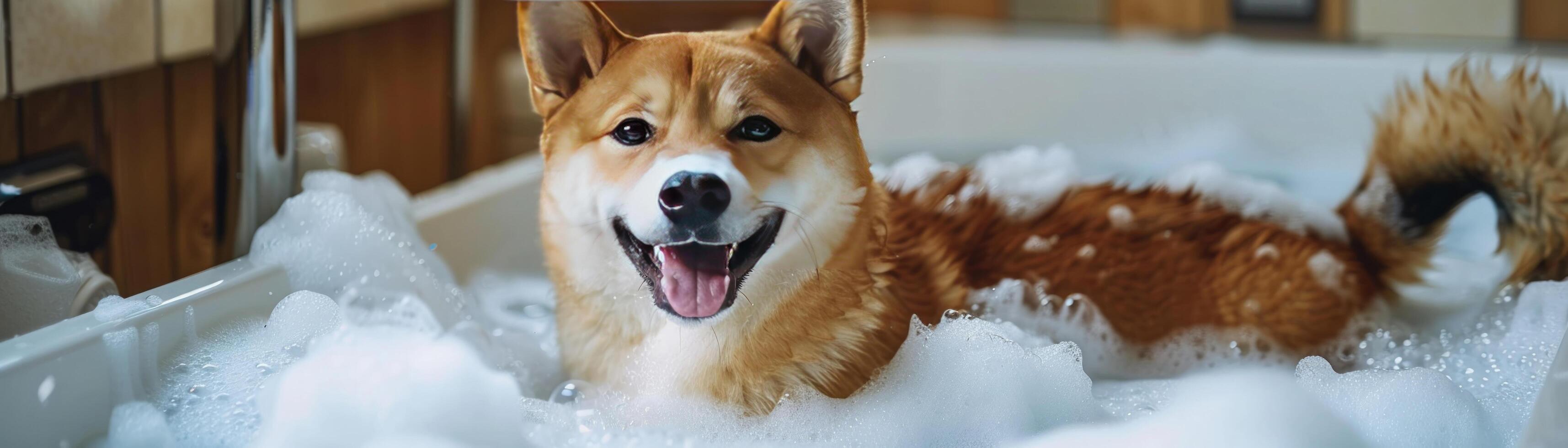 ai généré une joyeux shisu chien dans baignoire plein de savon mousse. photo