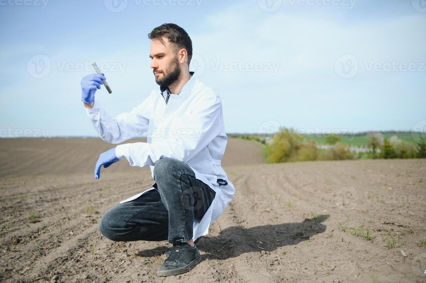 agronome en train d'étudier échantillons de sol dans champ photo
